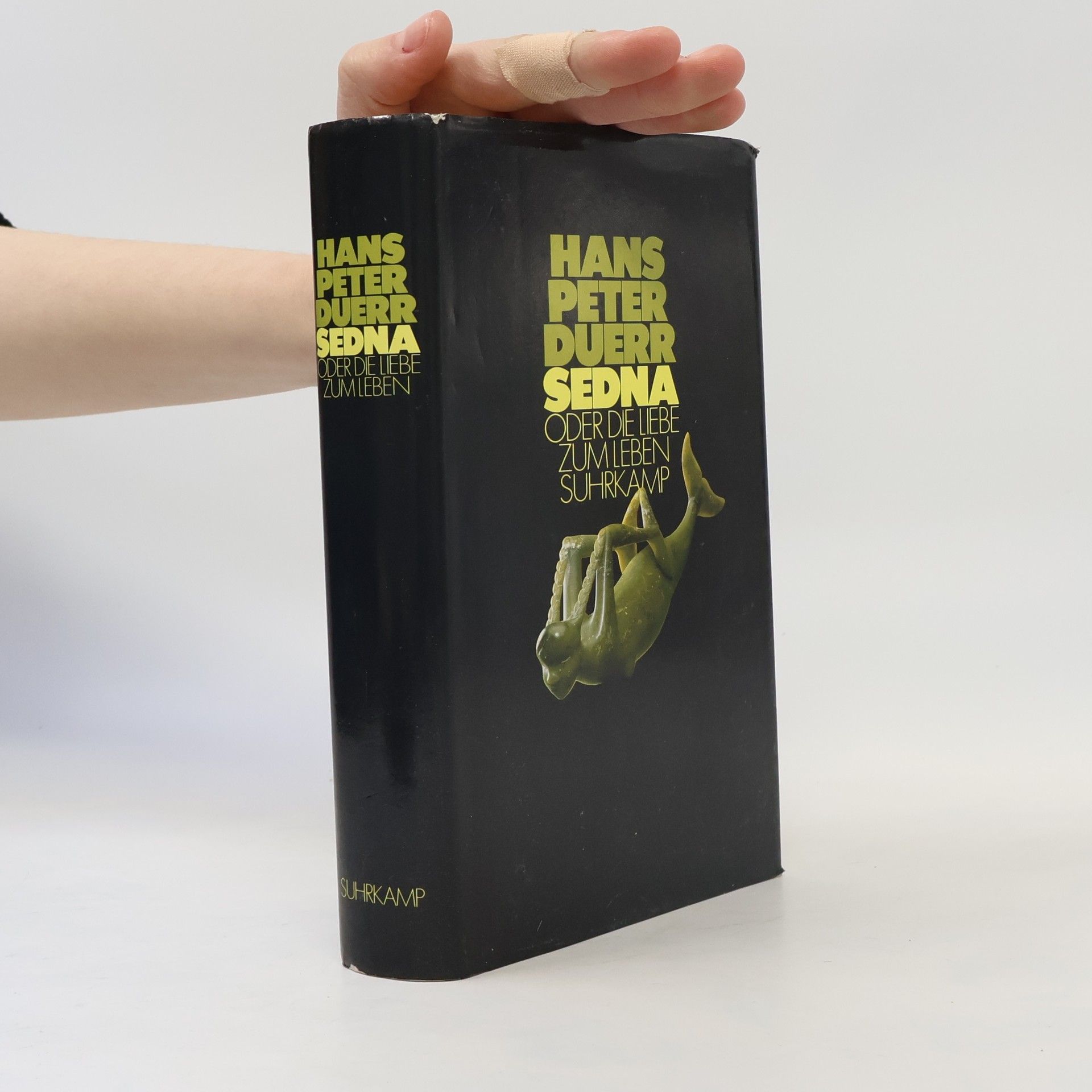 Hans Peter Duerr Sedna oder die Liebe zum Leben