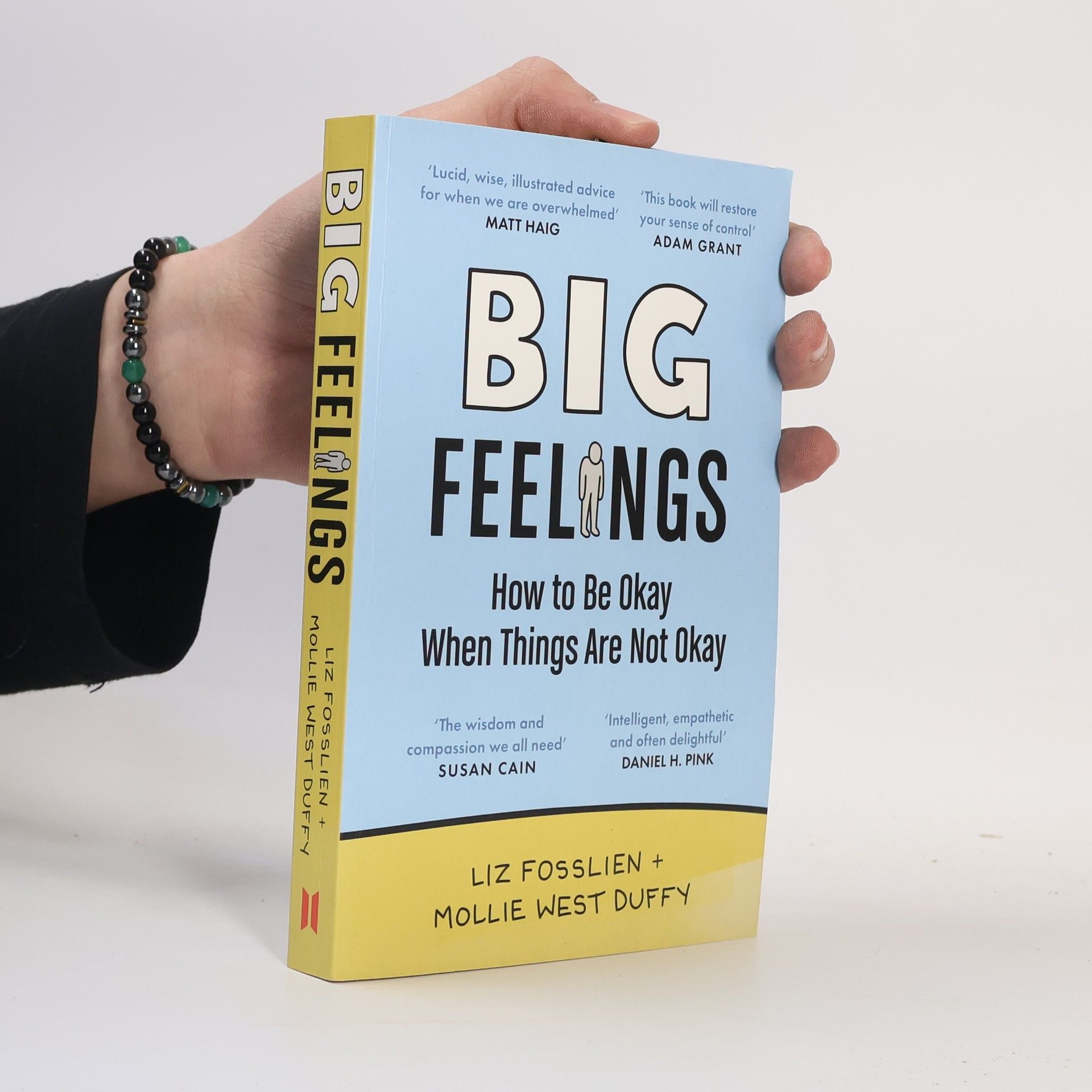Liz Fosslien Big Feelings