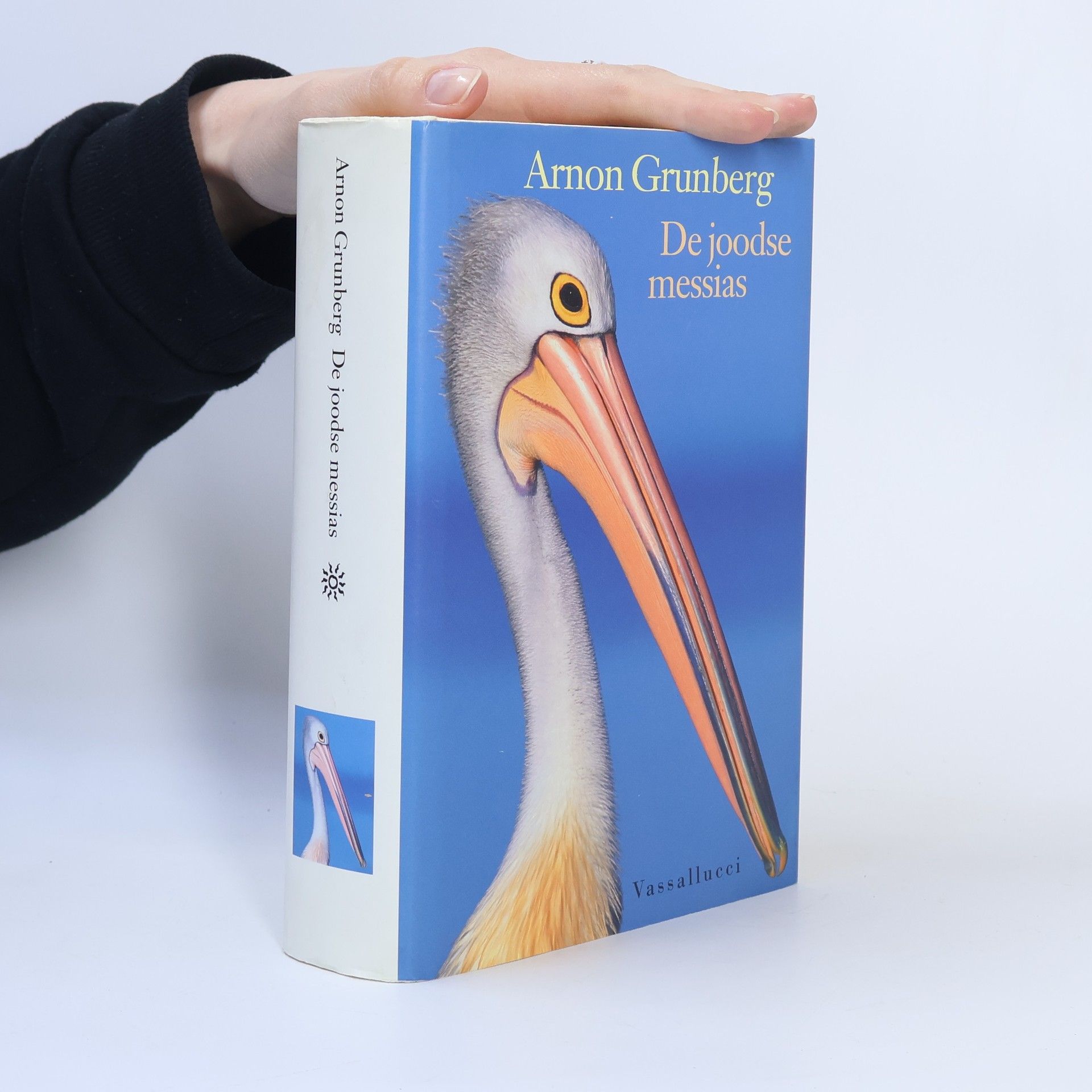 Arnon Grunberg De joodse messias