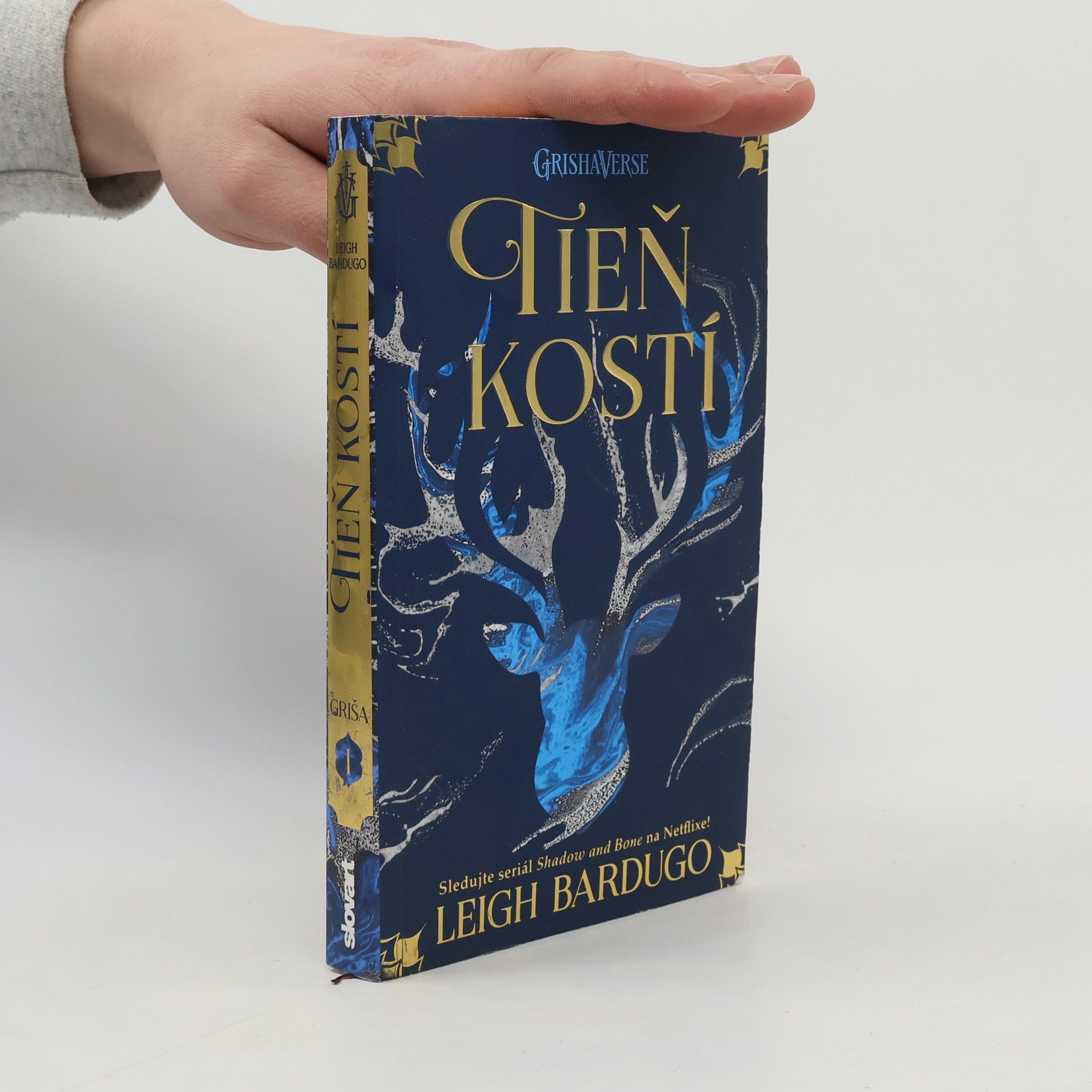 Leigh Bardugo Tieň kostí