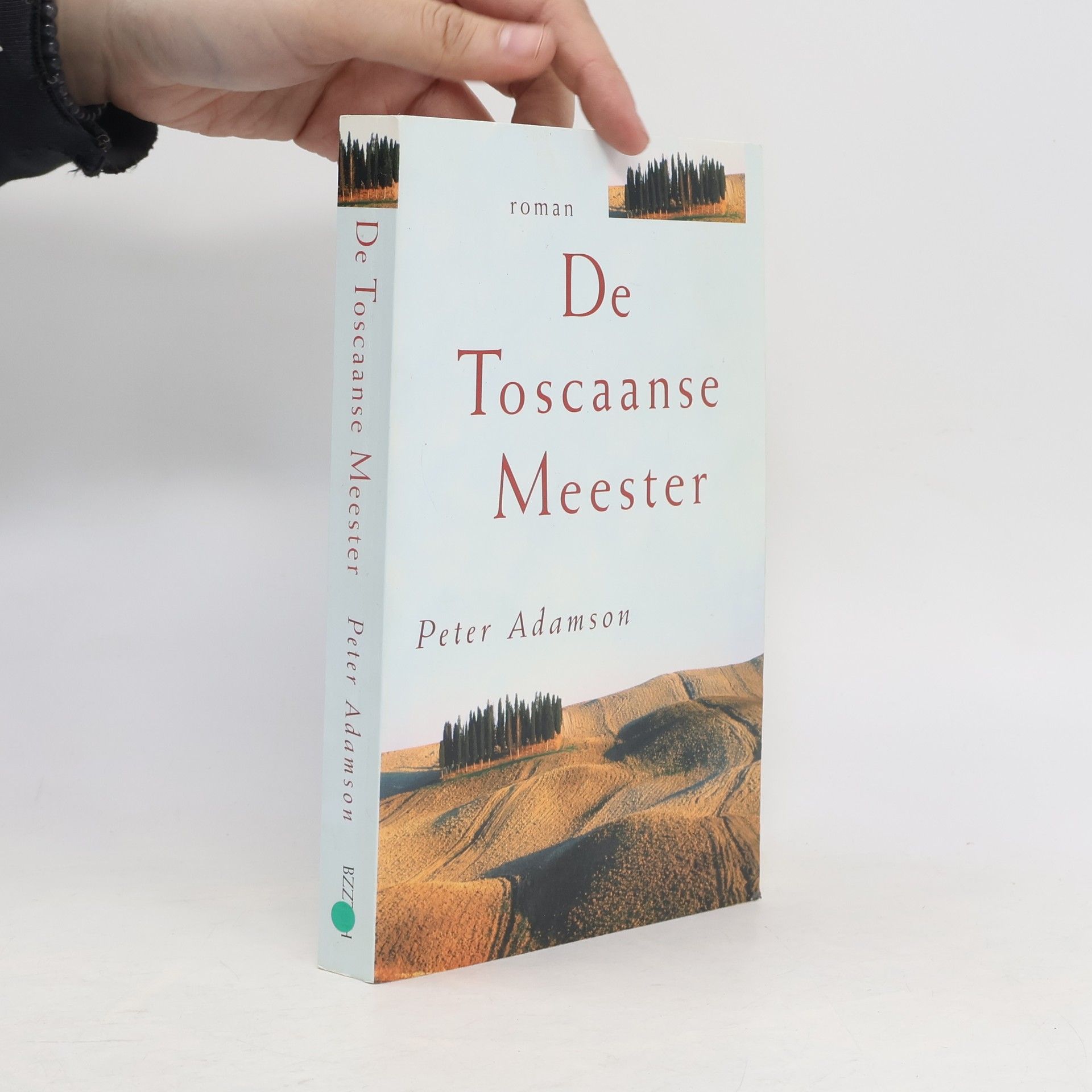 Gert Jan de Vries De Toscaanse meester