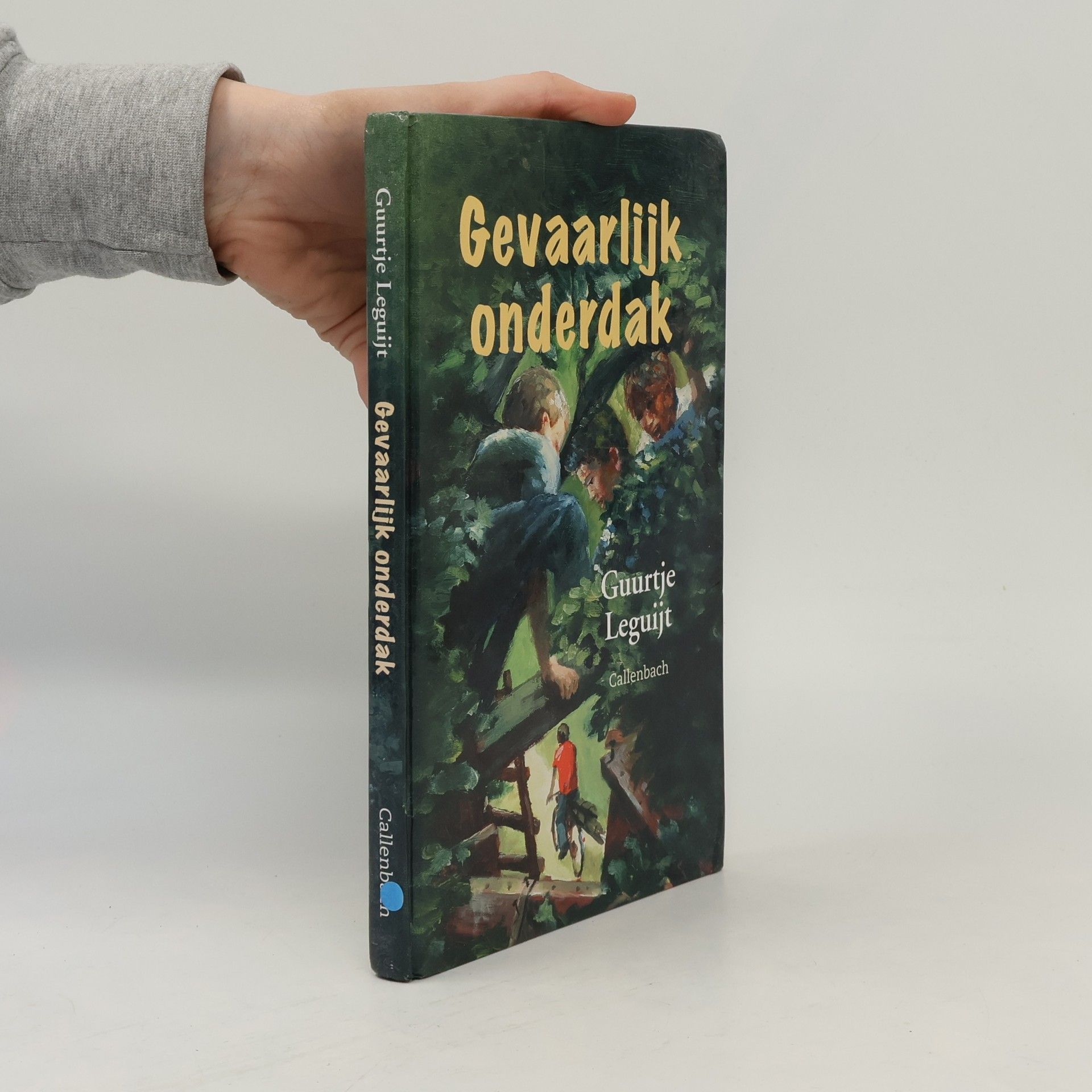 Guurtje Leguijt Gevaarlijk onderdak