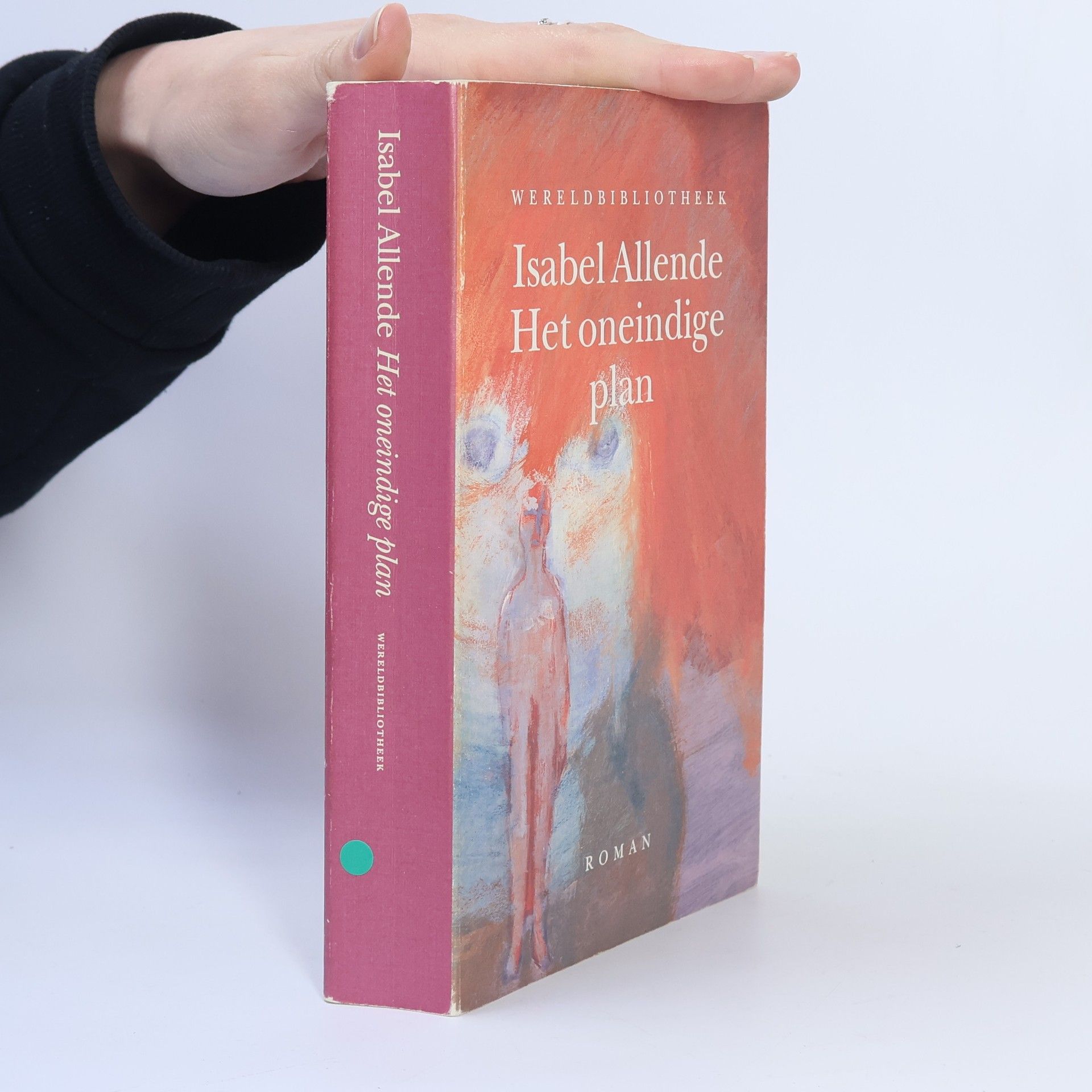 Isabel Allende Het Oneindige plan