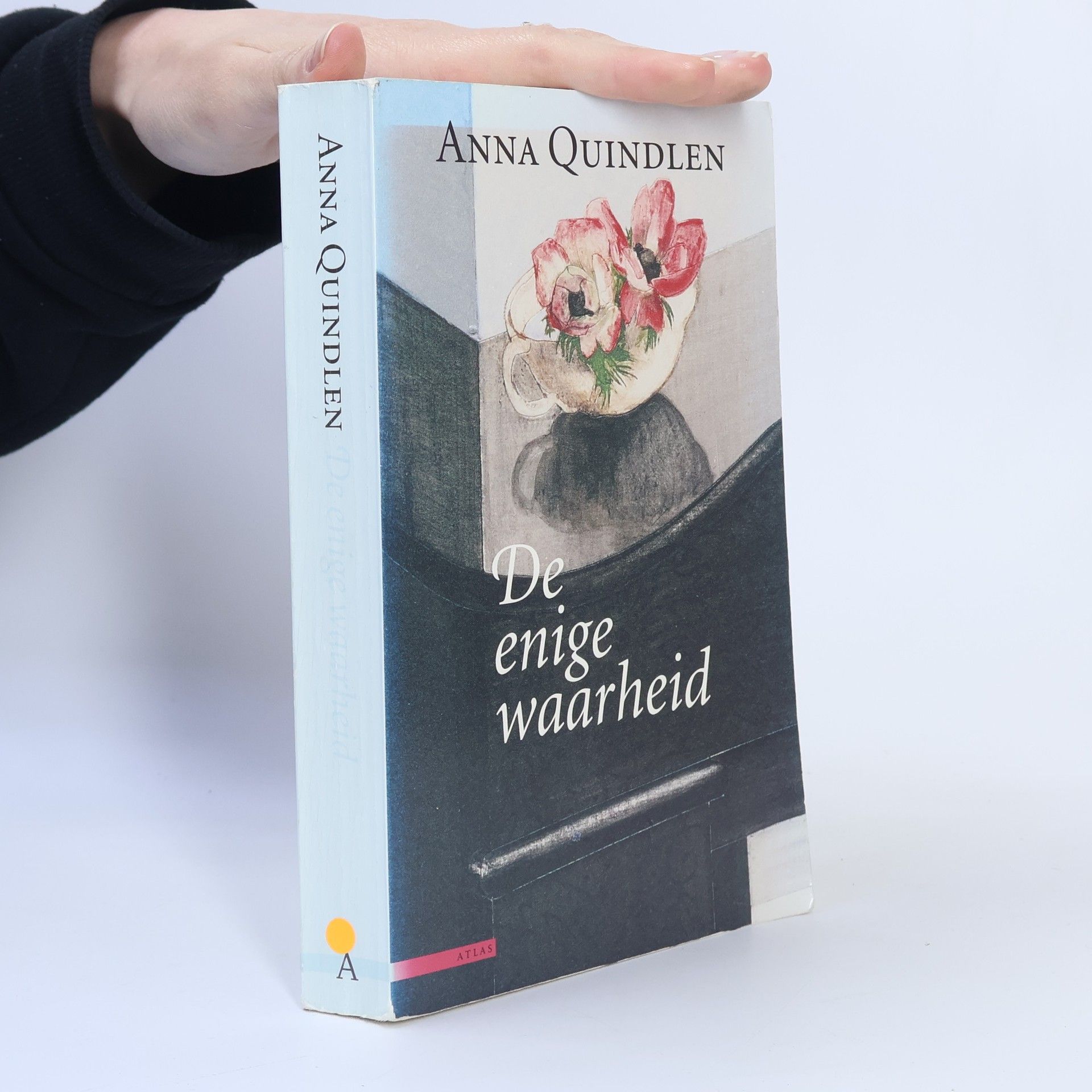 Anna Quindlen De enige waarheid