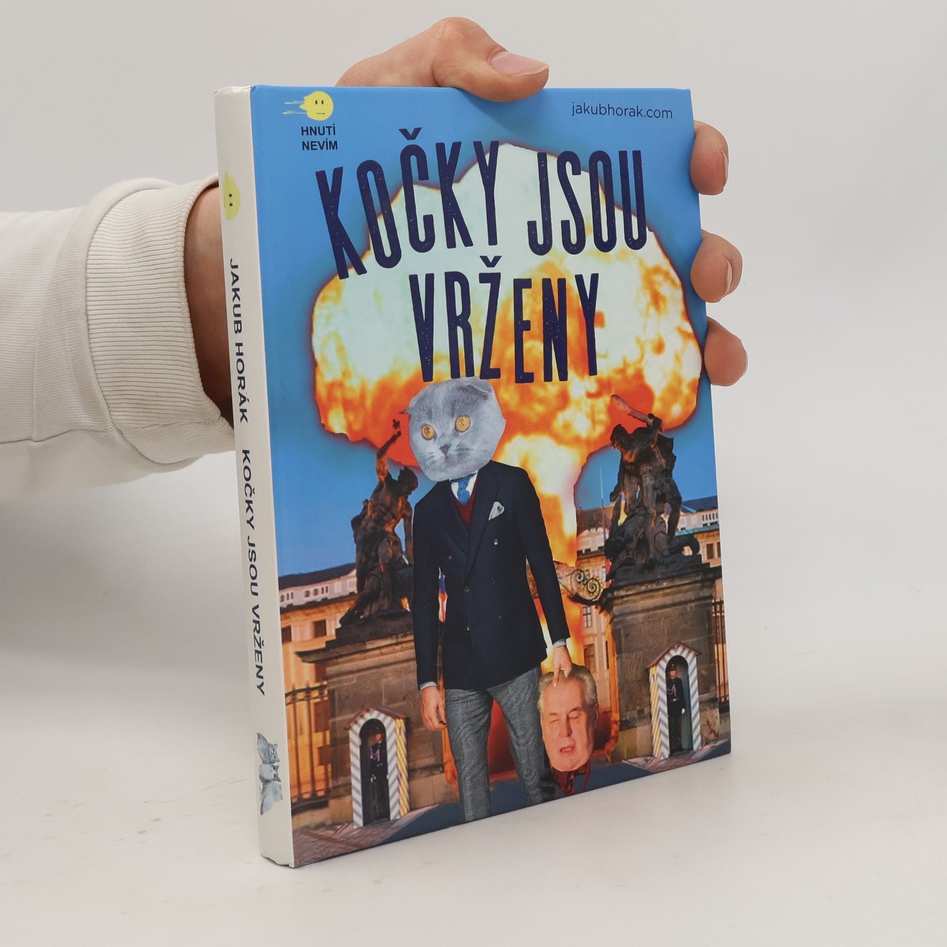 Jakub Horák Kočky jsou vrženy: Fantastický román