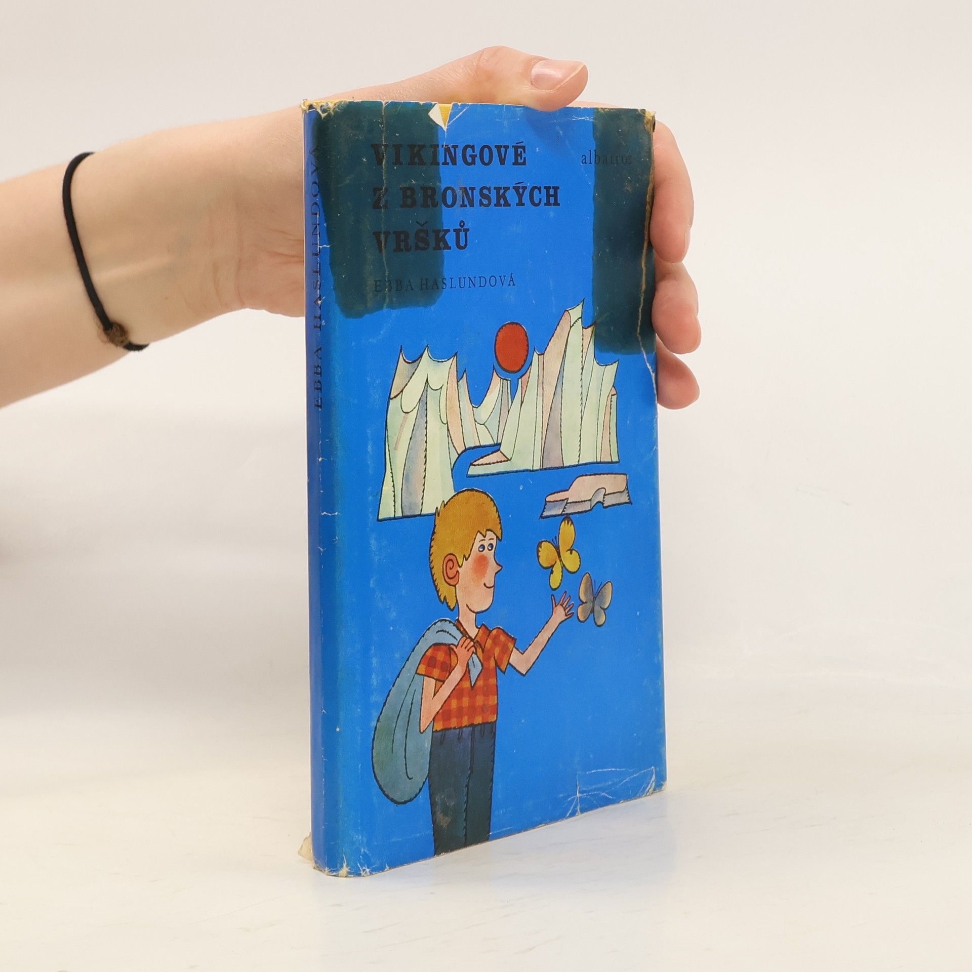 Ebba Haslund Vikingové z Bronských vršků