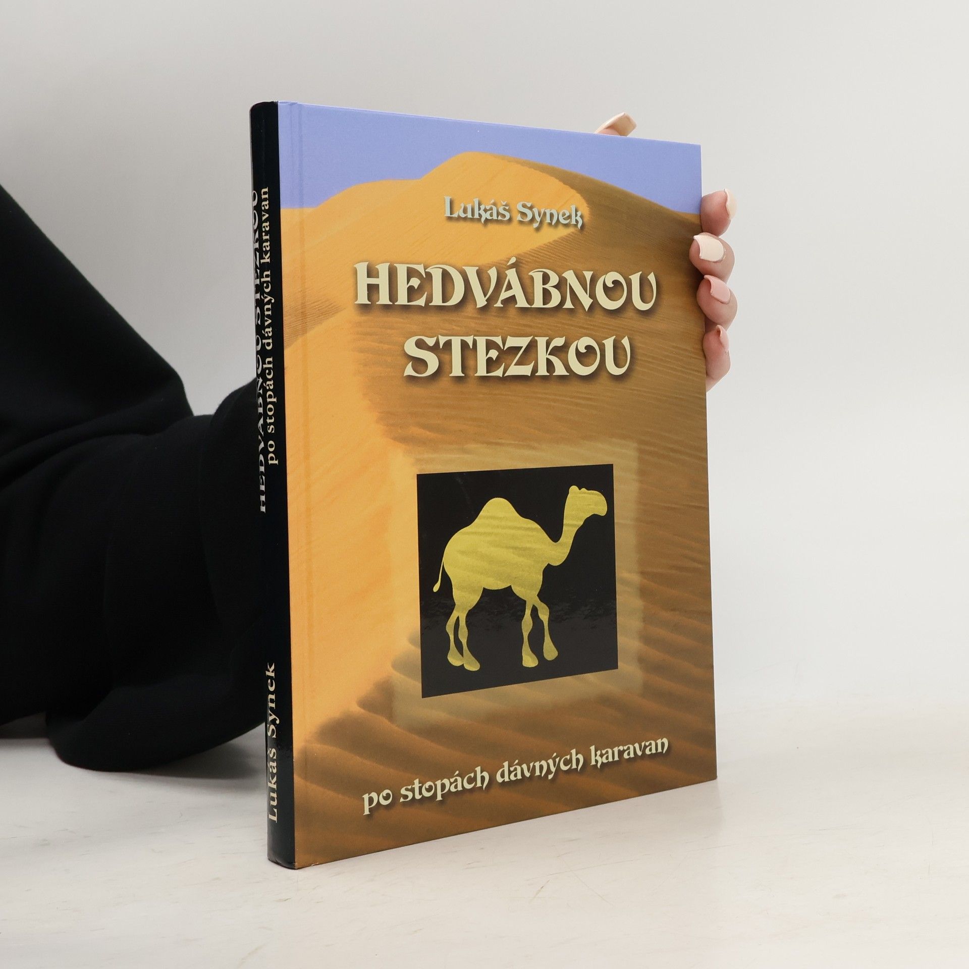 Lukáš Synek Hedvábnou stezkou: po stopách dávných karavan