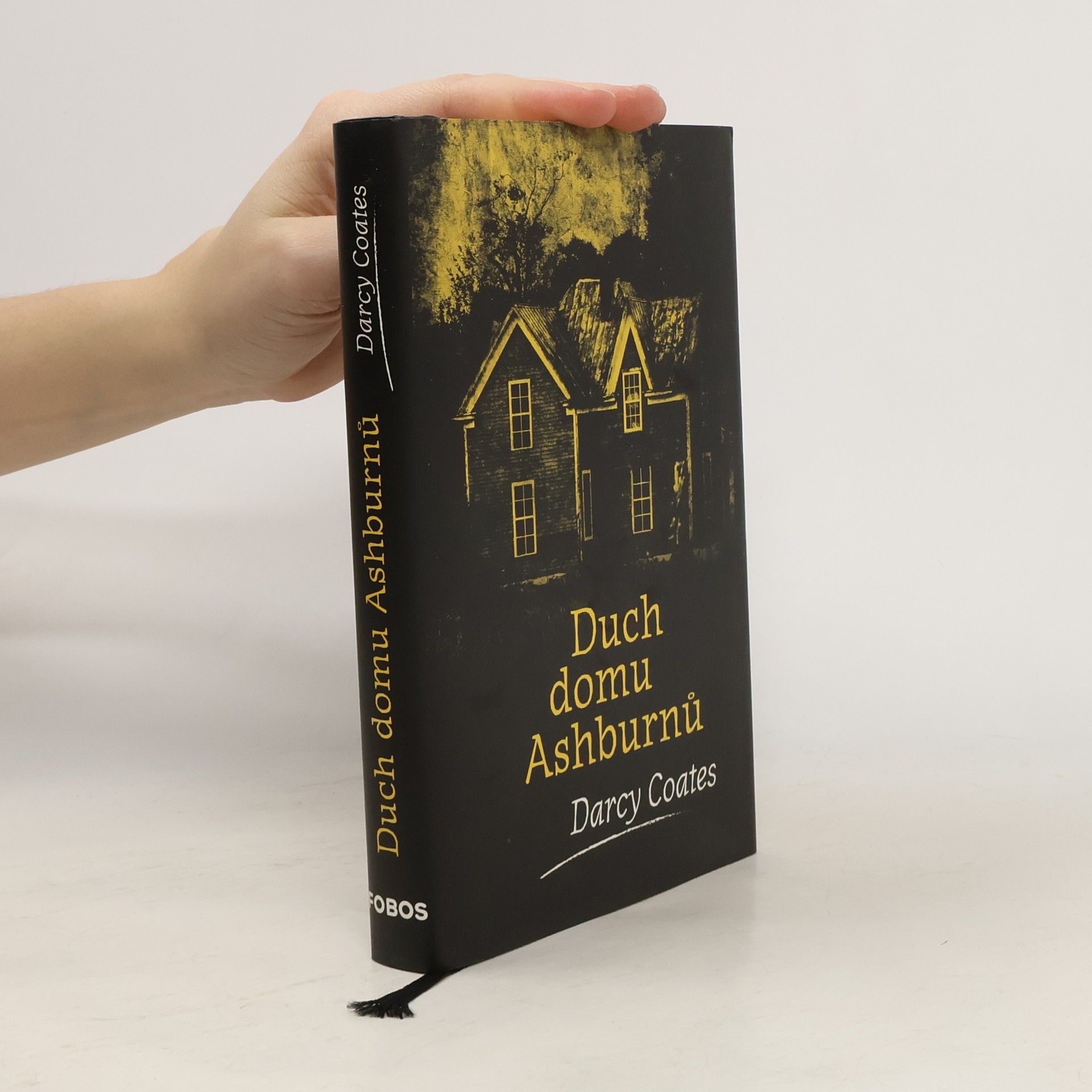 Darcy Coates Duch domu Ashburnů