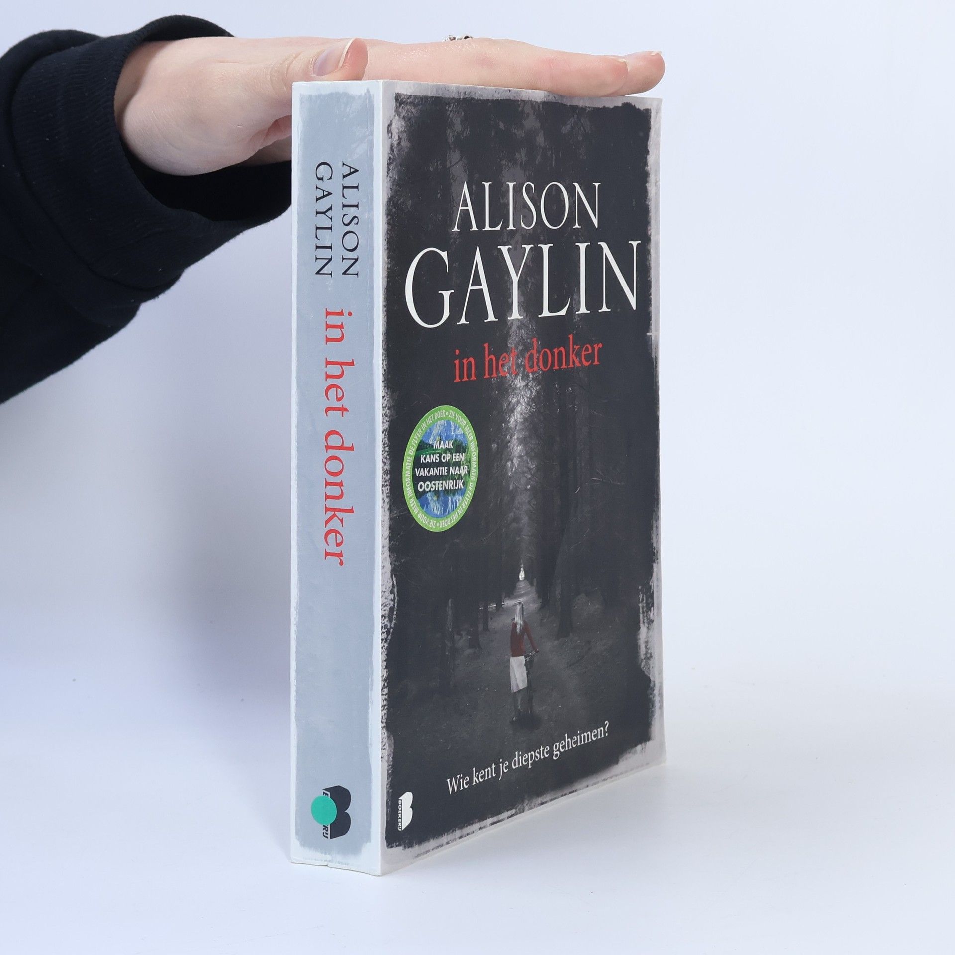 Alison Gaylin Brenna Spector - 2: In het donker - druk 2