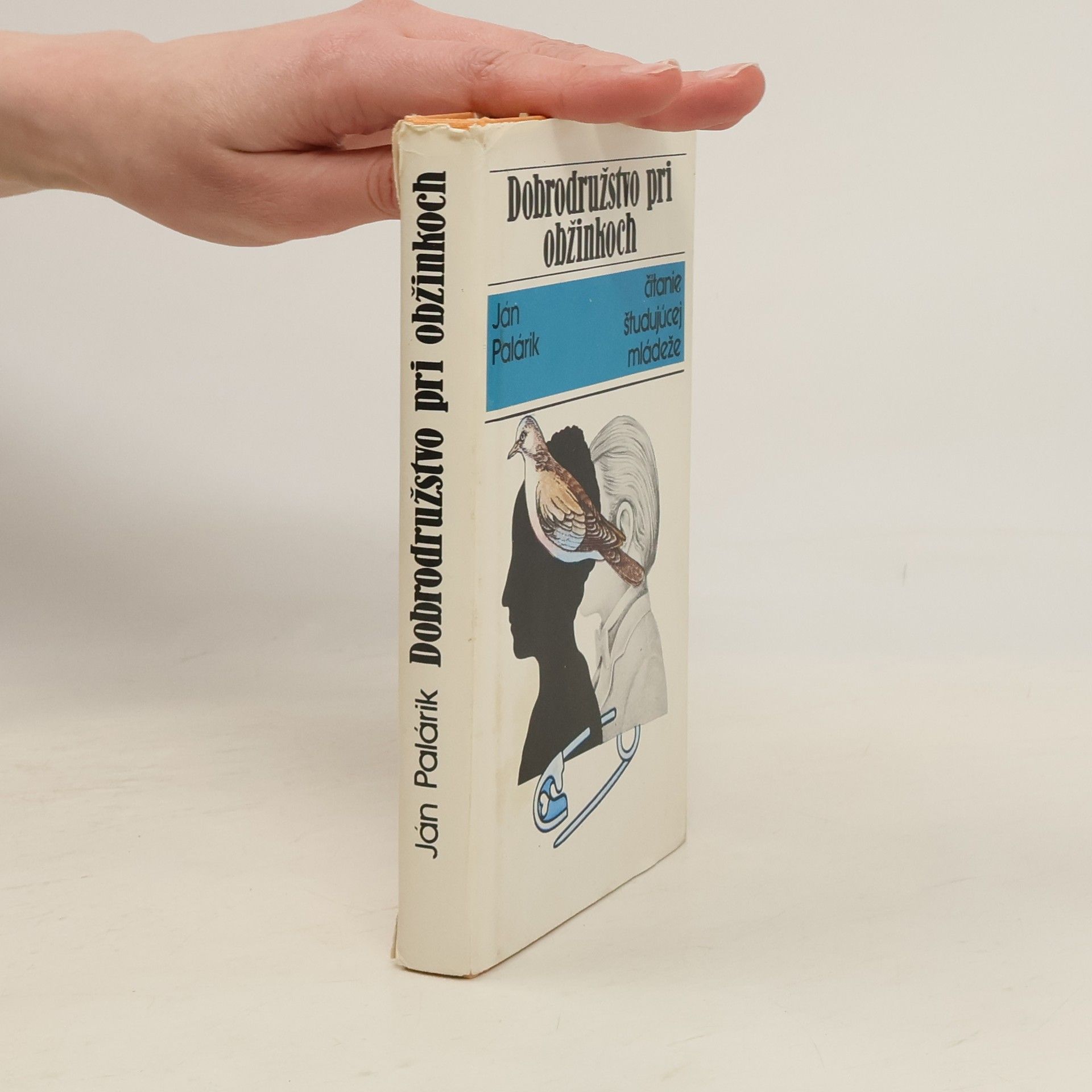 Ján Palárik Dobrodružstvo pri obžinkoch