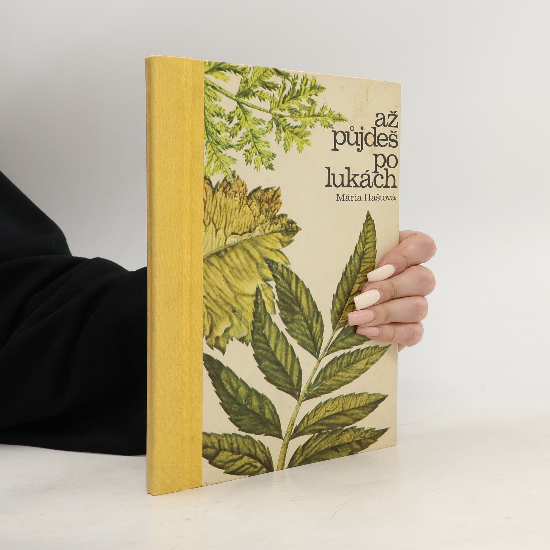 Mária Haštová Až půjdeš po lukách