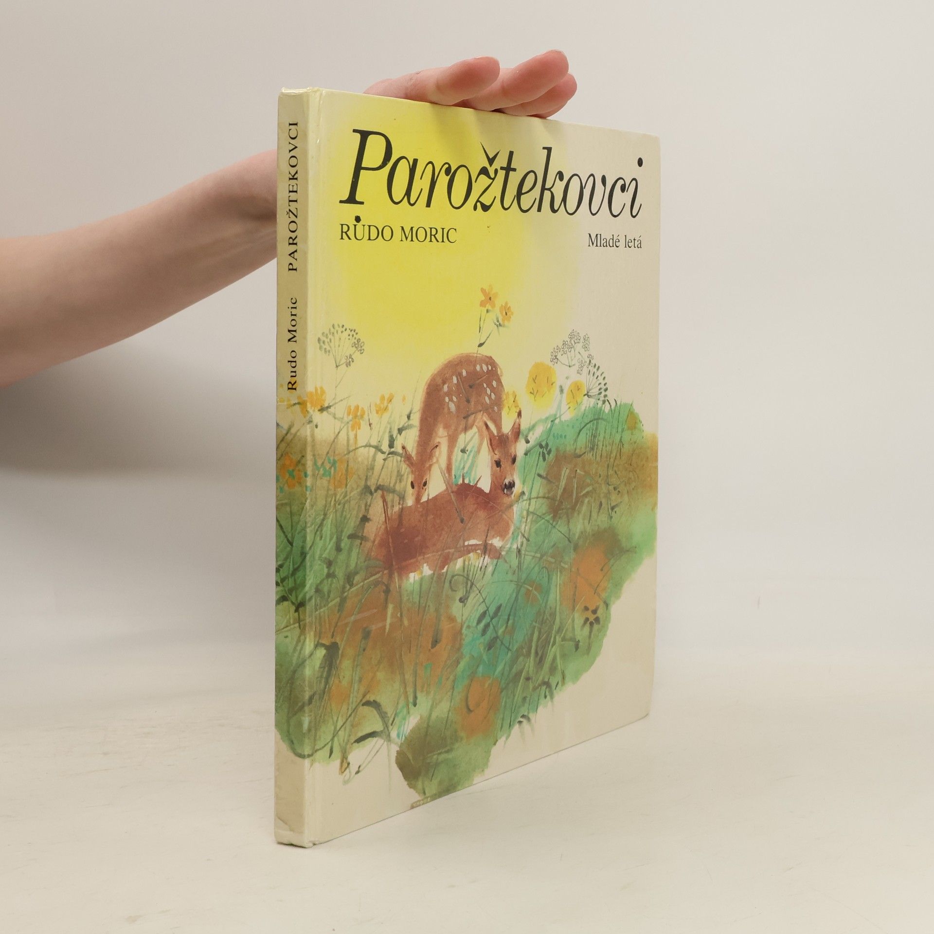 Rudo Moric Parožtekovci