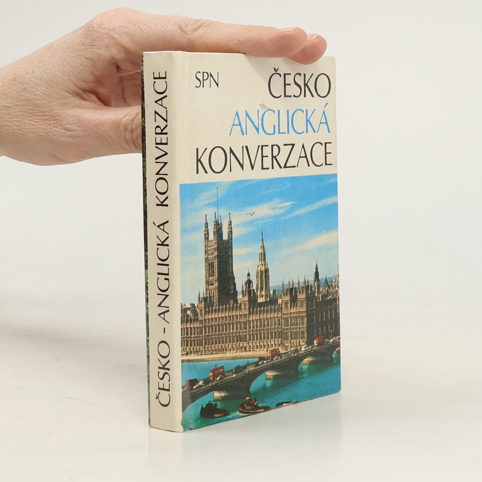 Kolektív autorov Česko-anglická konverzace