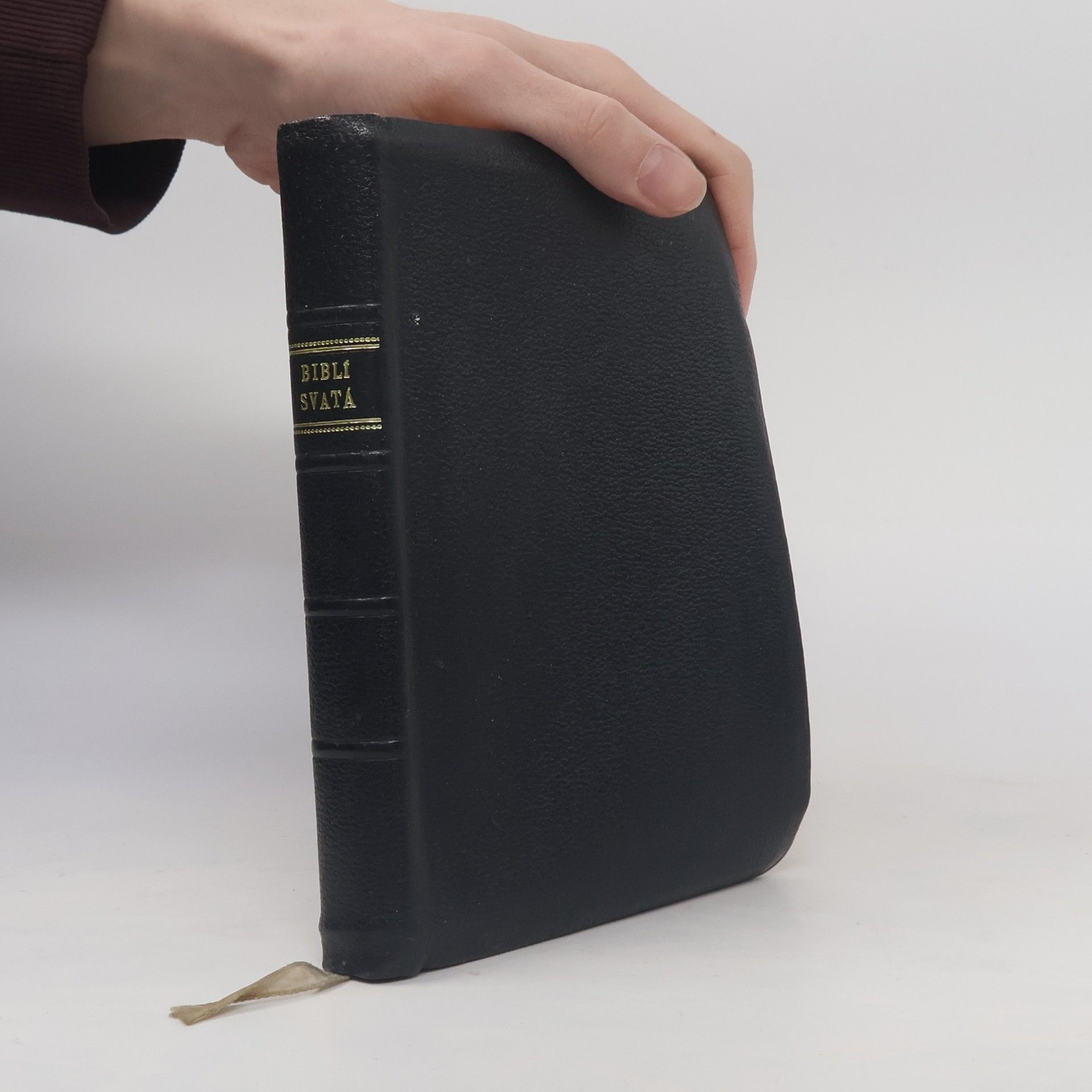 Various authors Biblí svatá aneb všecka svatá Písma Starého i Nového zákona. Podle posledního vydání kralického z roku 1613