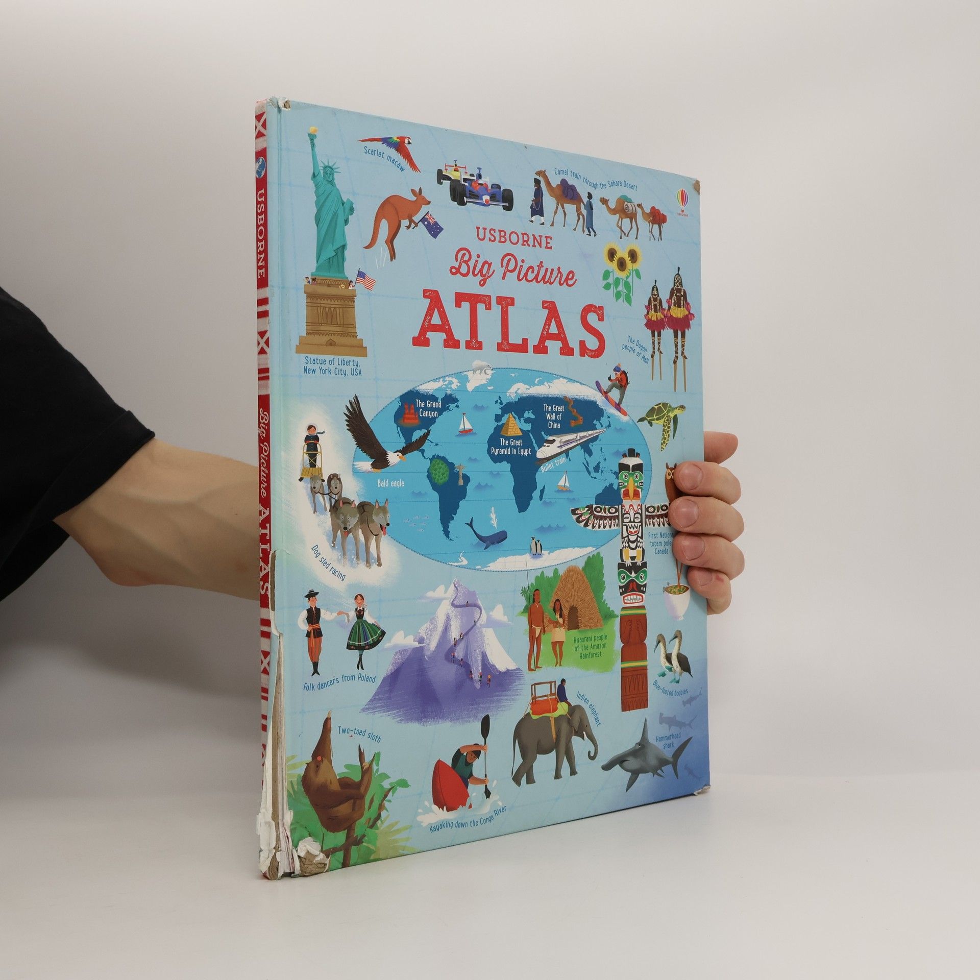 Emily Bone Big Picture Atlas