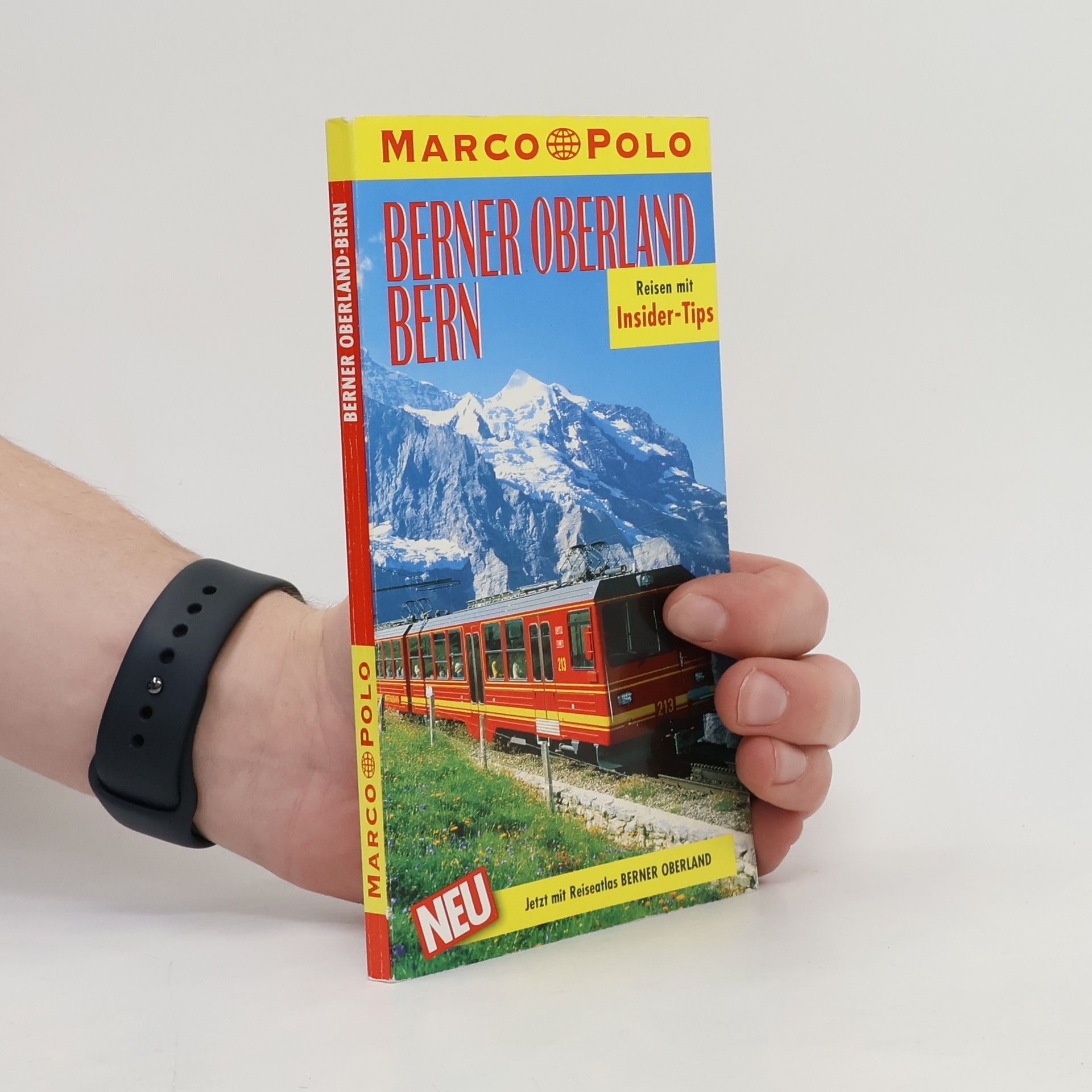 Claudia Schneider-Koglin Berner Oberland, Bern