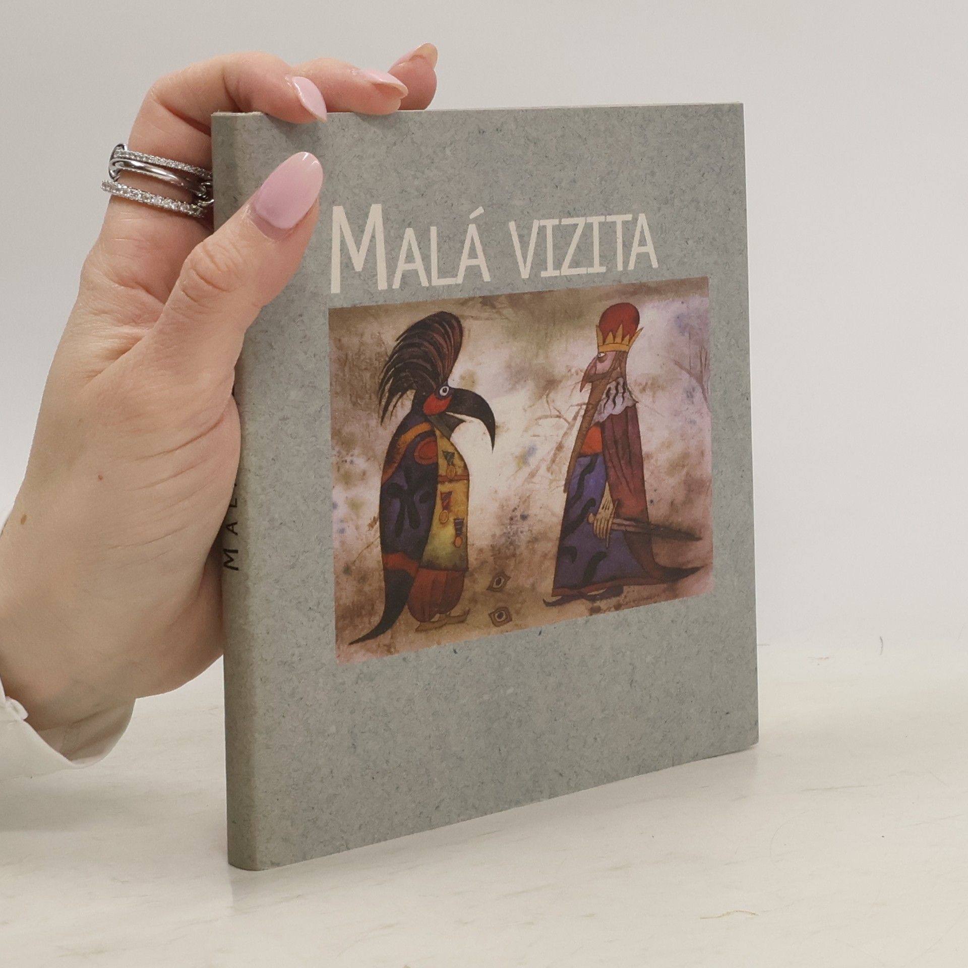 Various authors Malá vizita