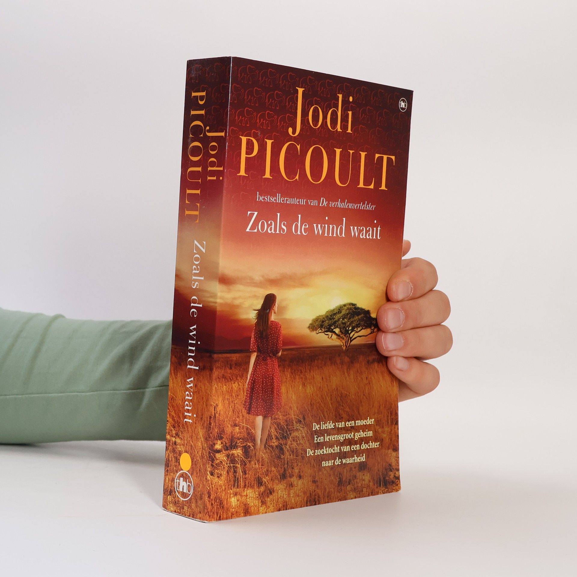 Jodi Picoult Zoals de wind waait