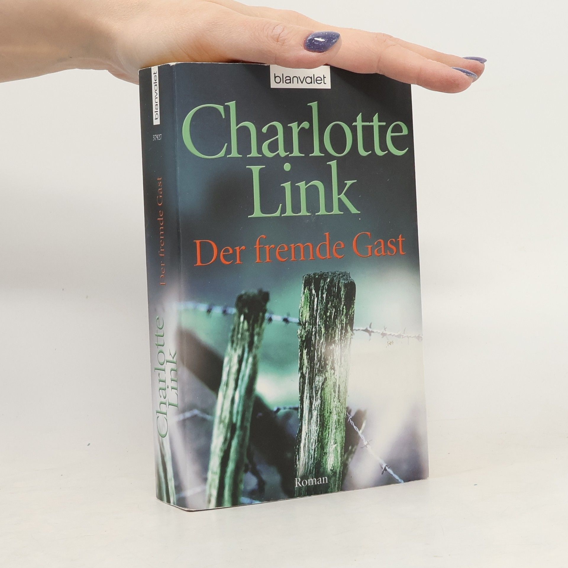 Charlotte Link Der fremde Gast