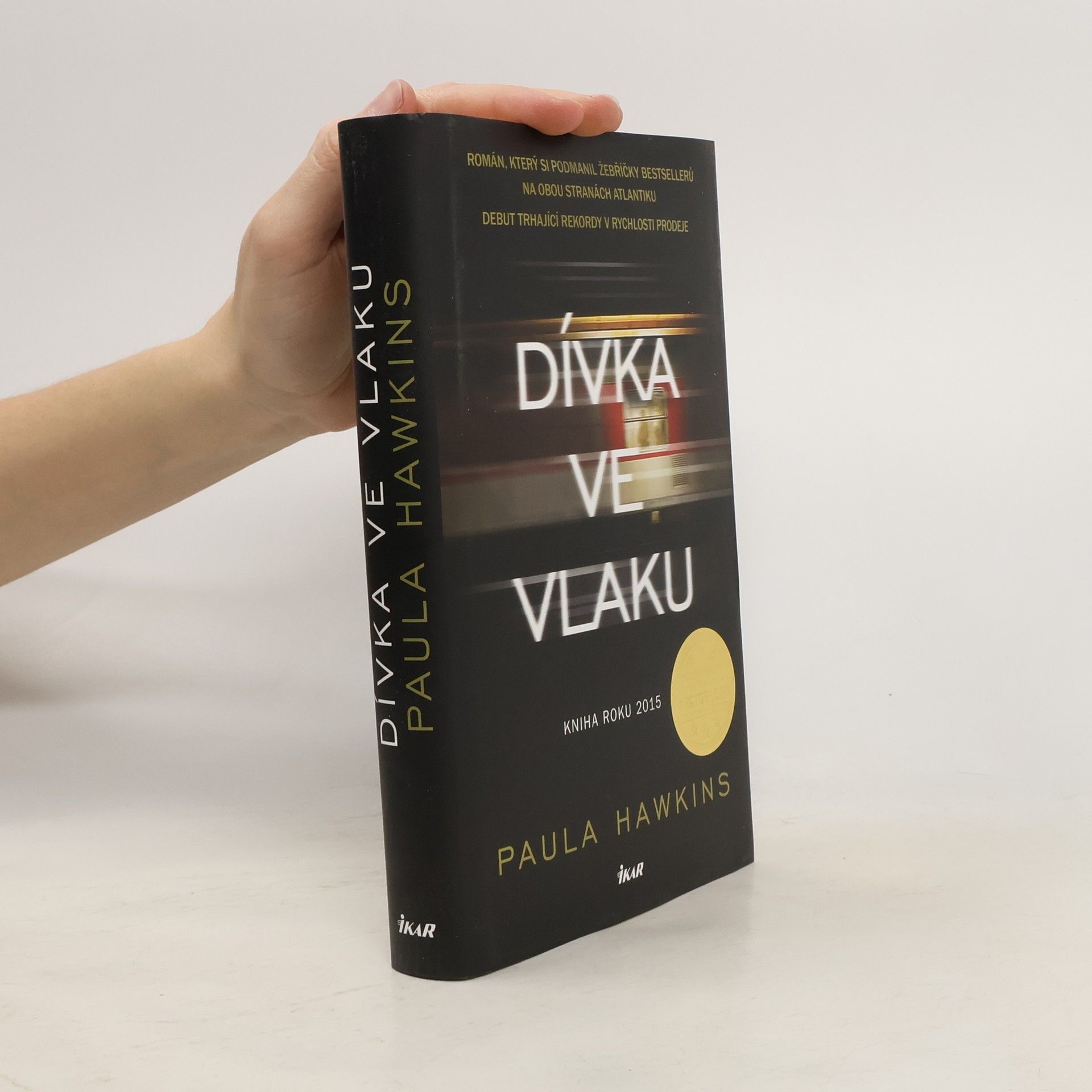 Dívka ve vlaku