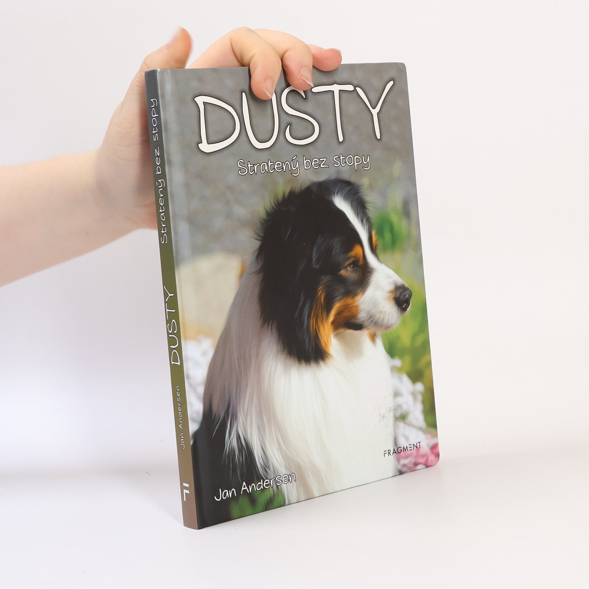 Wolfram Hänel Dusty 7: Stratený bez stopy