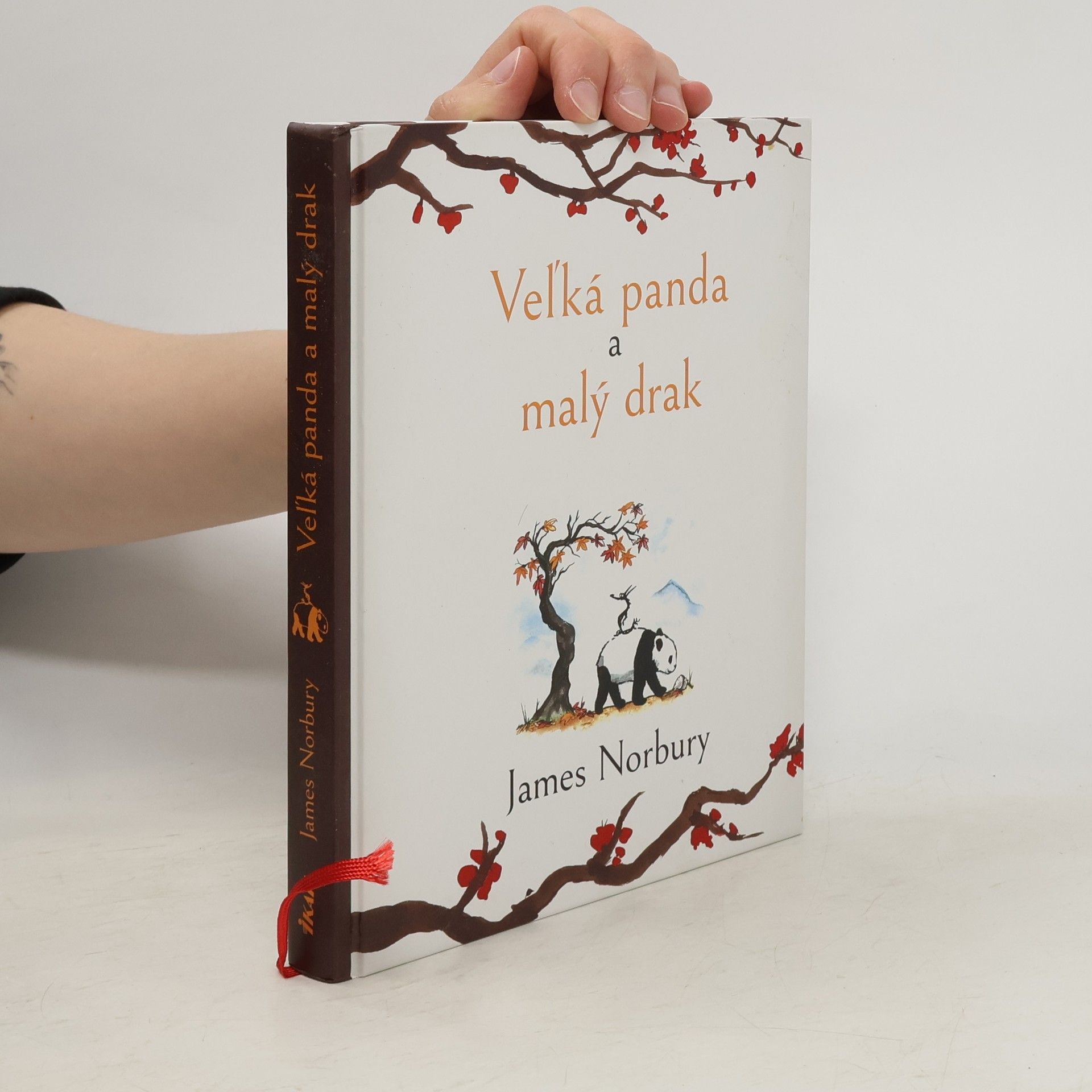 James Norbury Veľká panda a malý drak