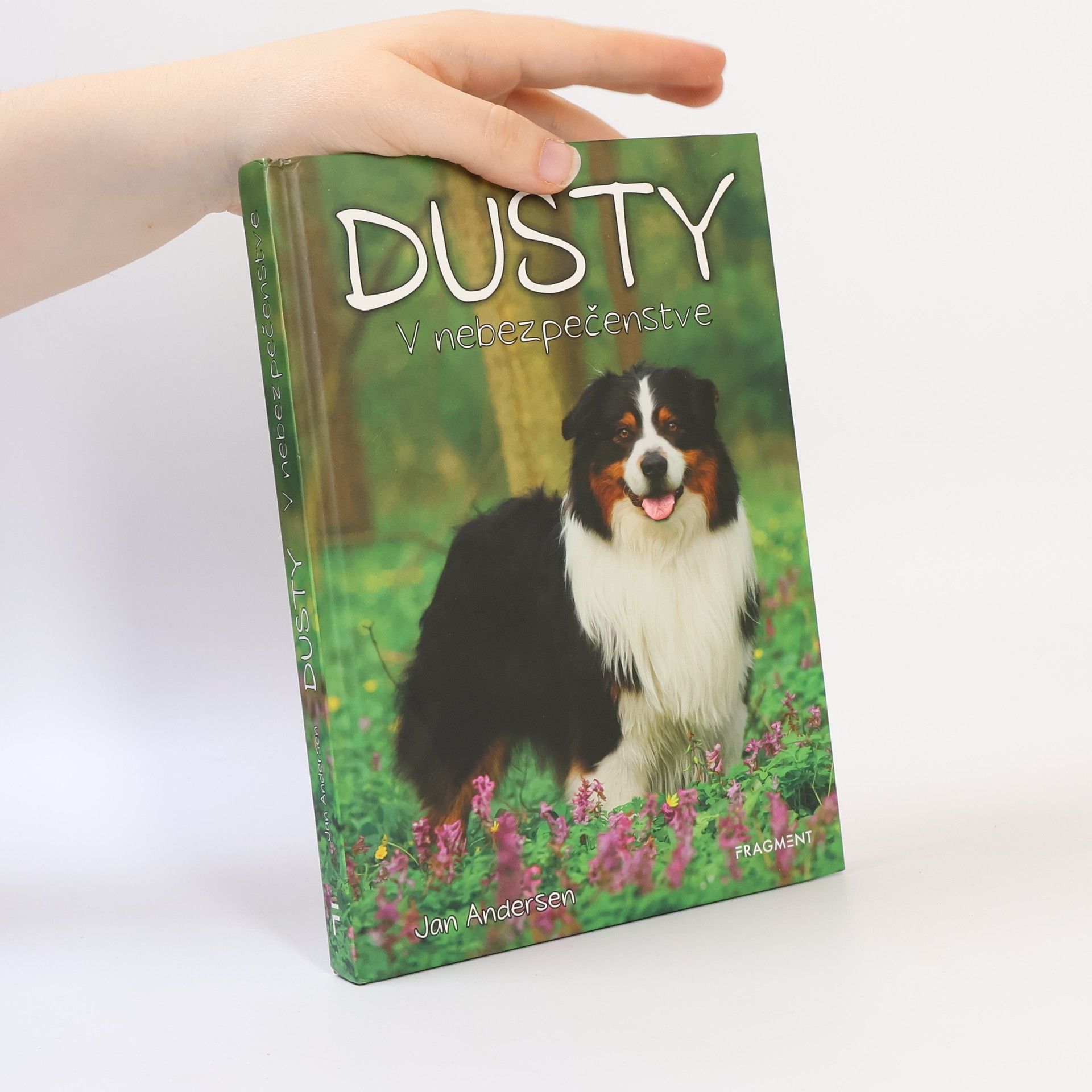 Wolfram Hänel Dusty: V nebezpečenstve