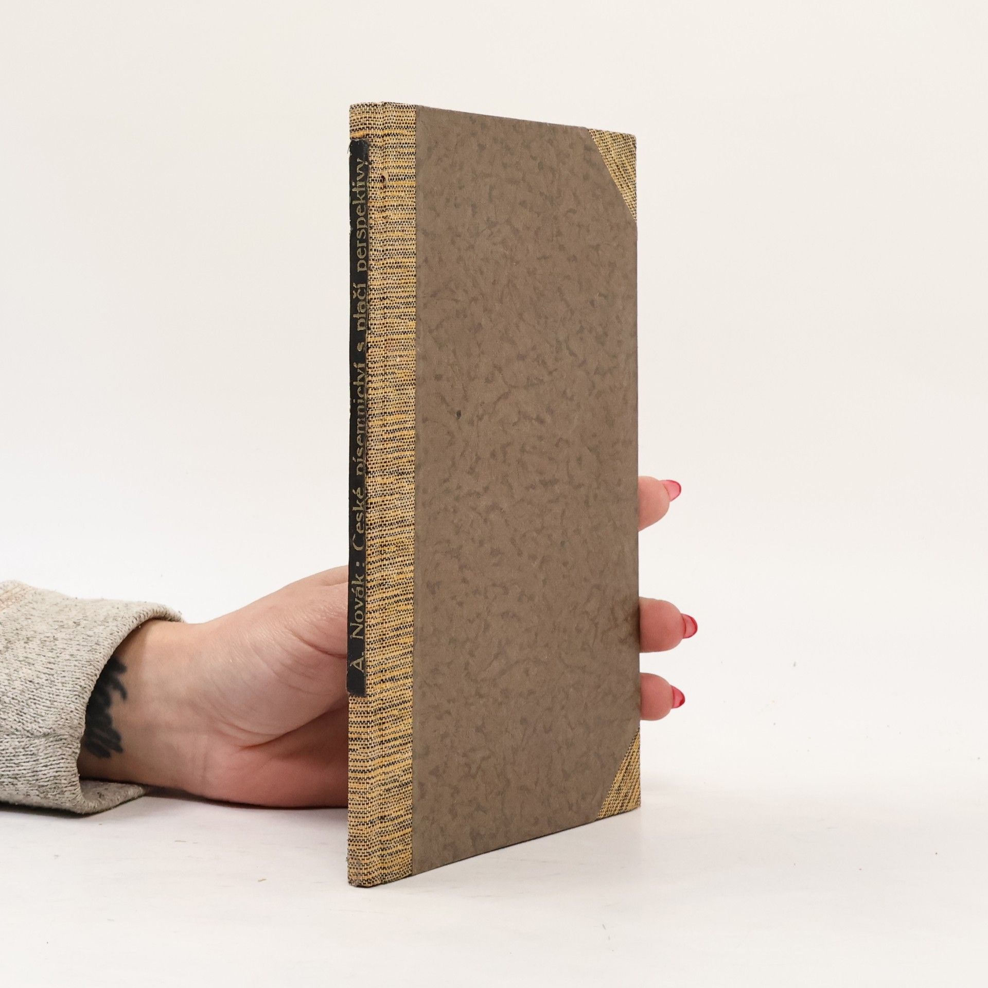 Arne Novák České písemnictví s ptačí perspektivy