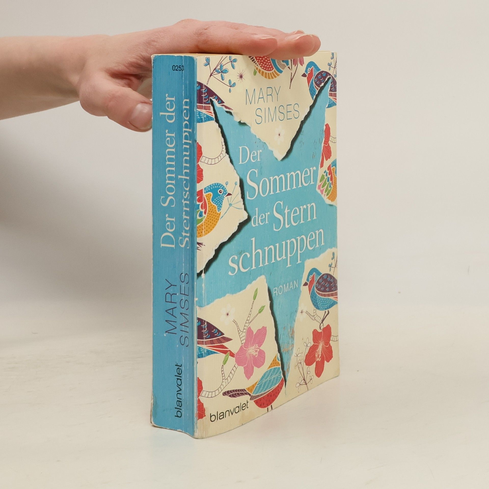 Mary Simses Der Sommer der Sternschnuppen