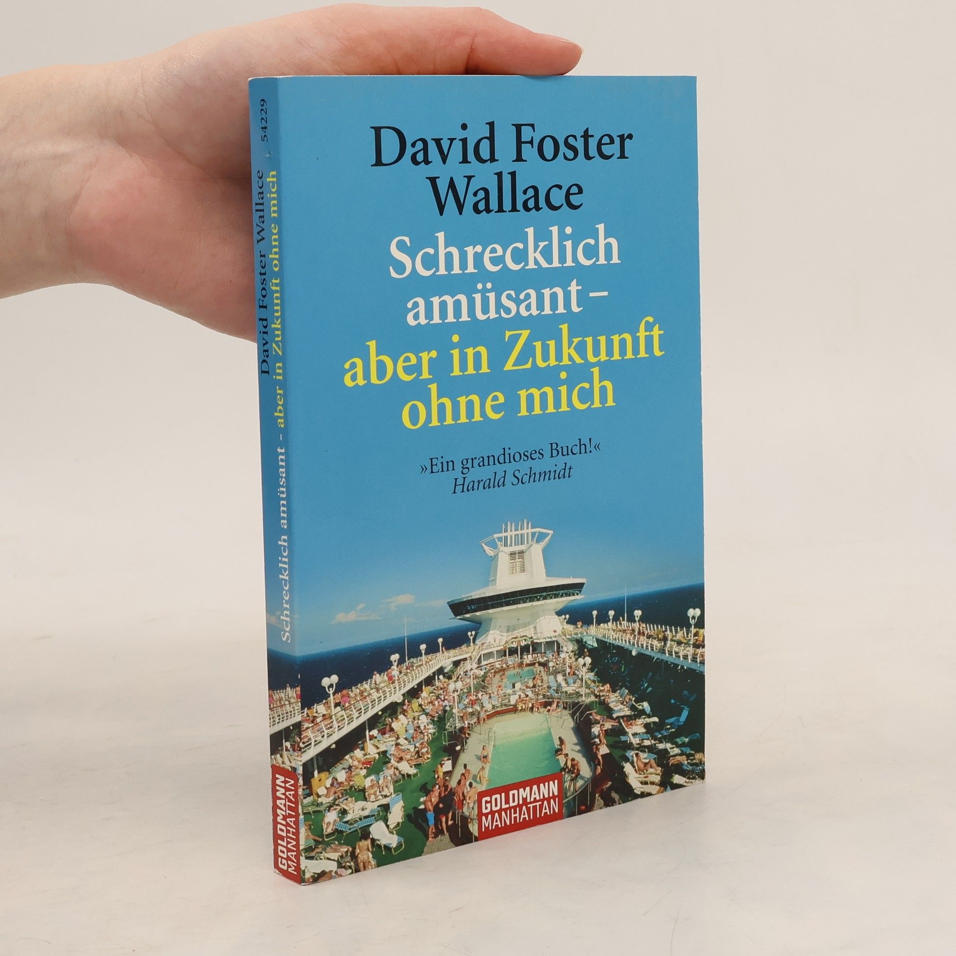 David Foster Wallace Schrecklich amüsant - aber in Zukunft ohne mich