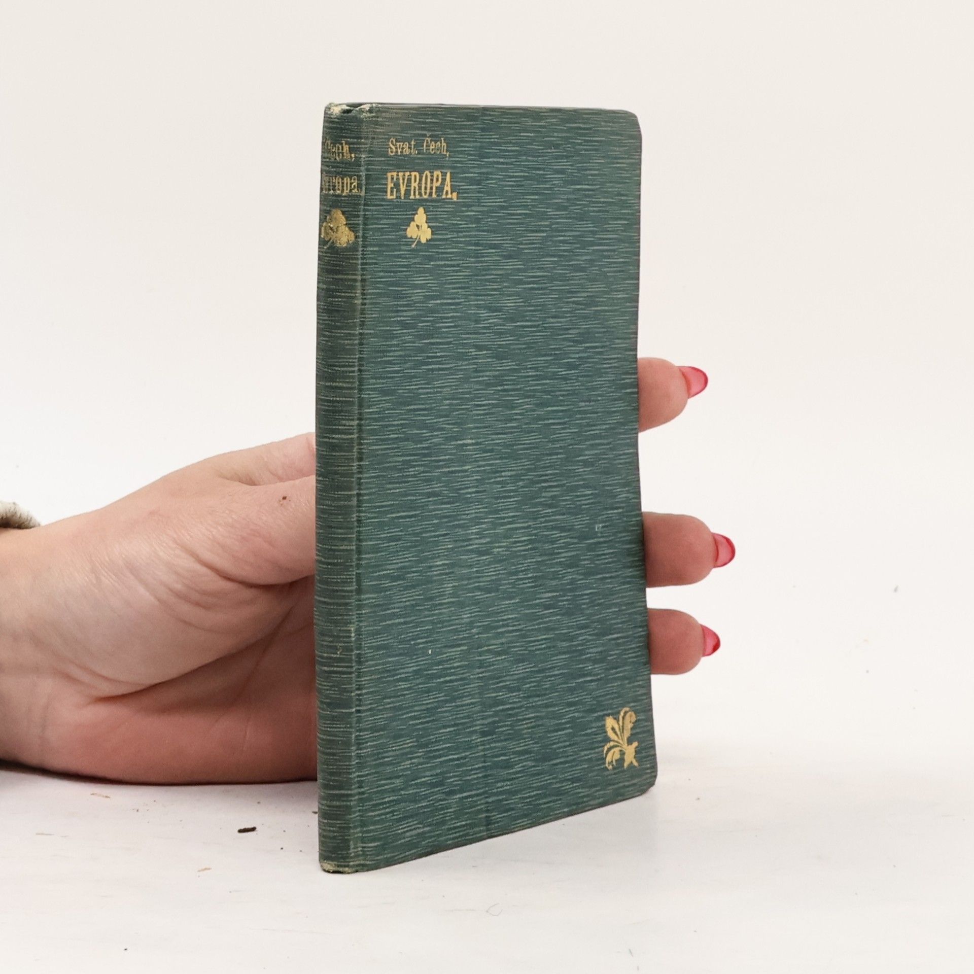 Svatopluk Čech Evropa