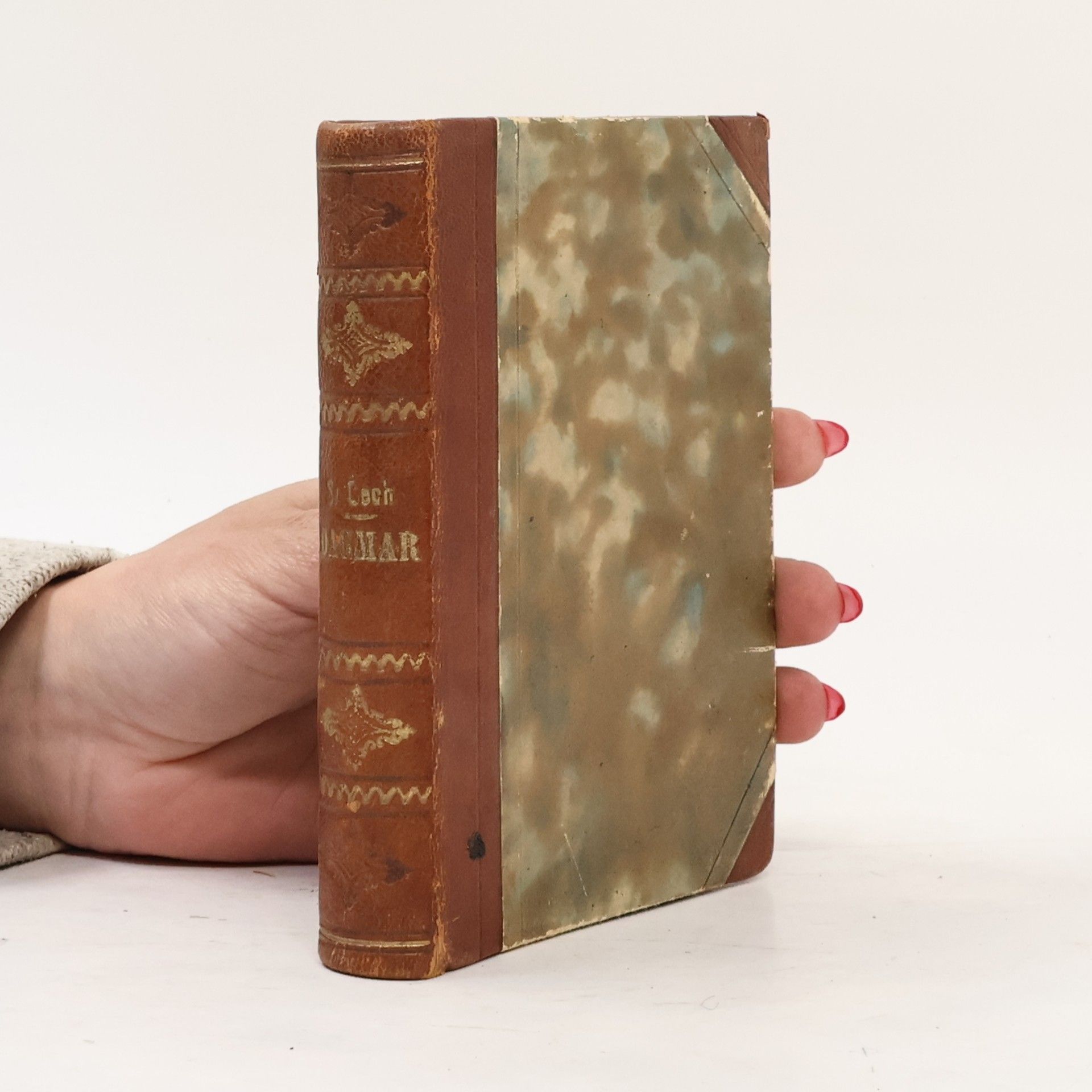 Svatopluk Čech Dagmar