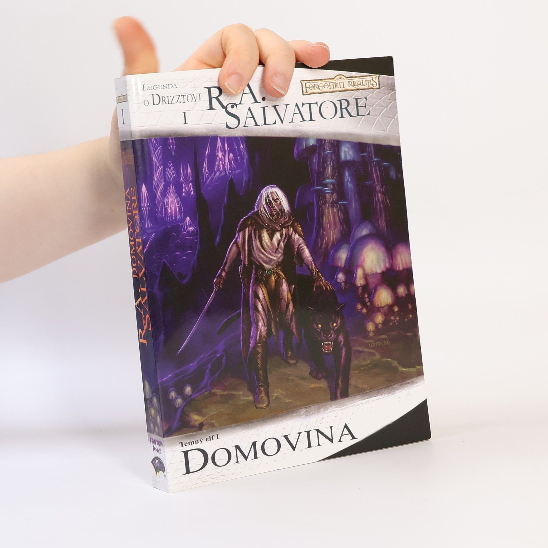 Robert Anthony Salvatore Temný elf I. Domovina