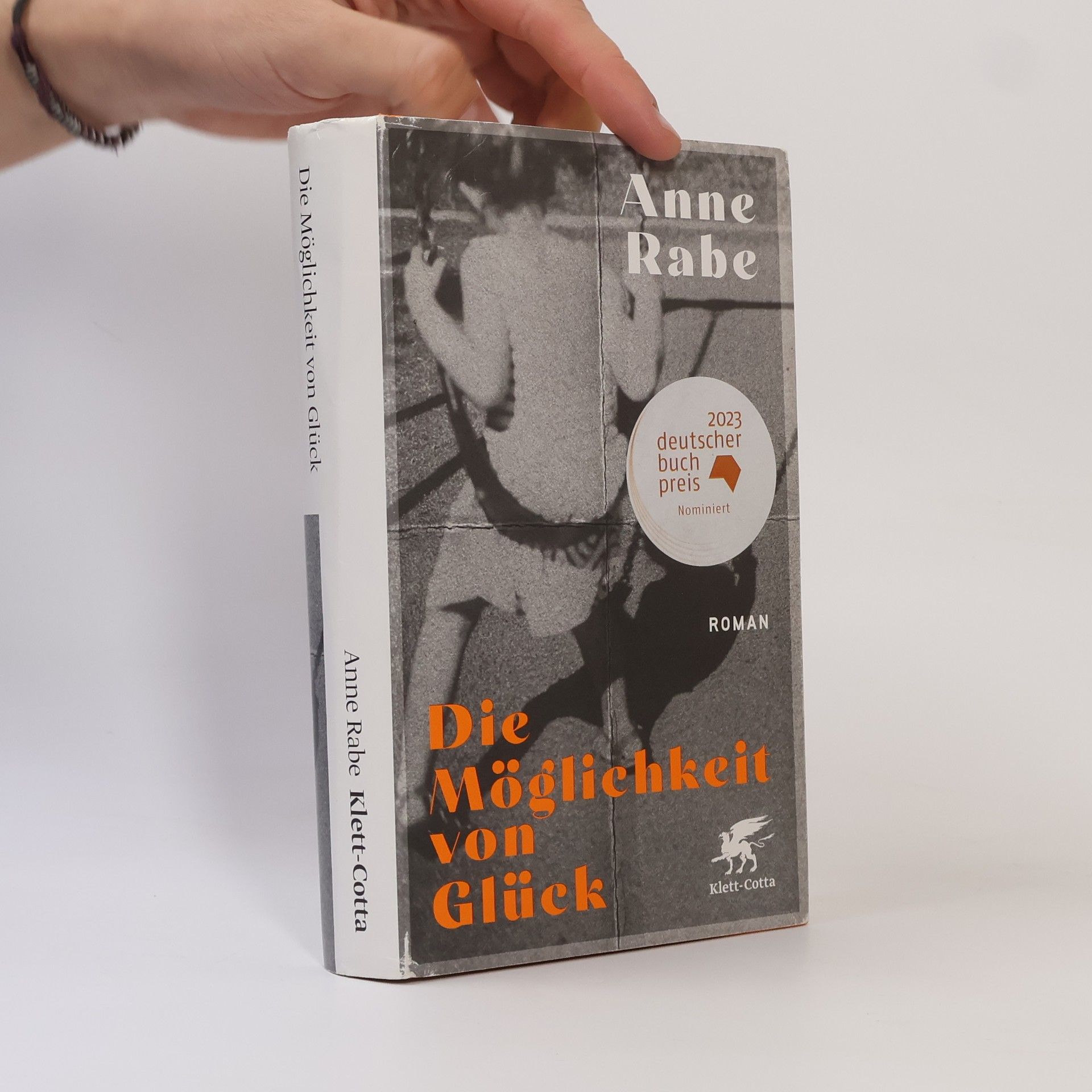 Anne Rabe Die Möglichkeit von Glück