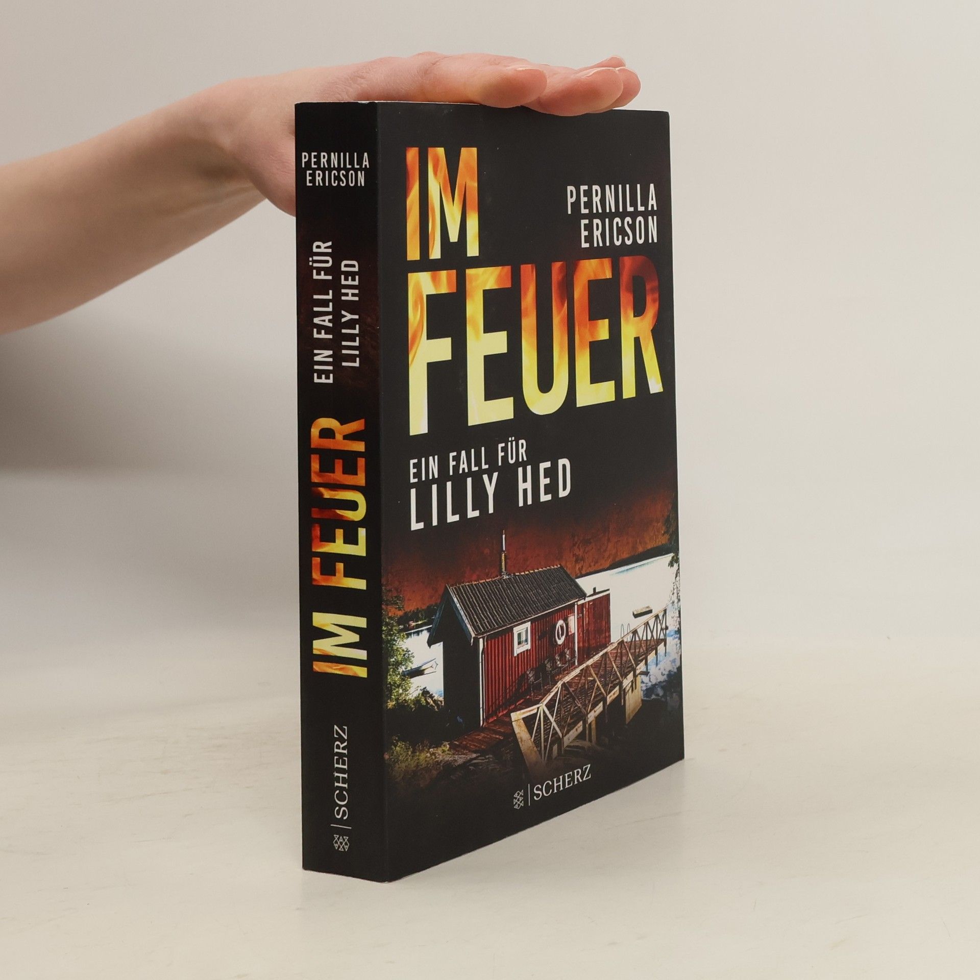 Pernilla Ericson Im Feuer