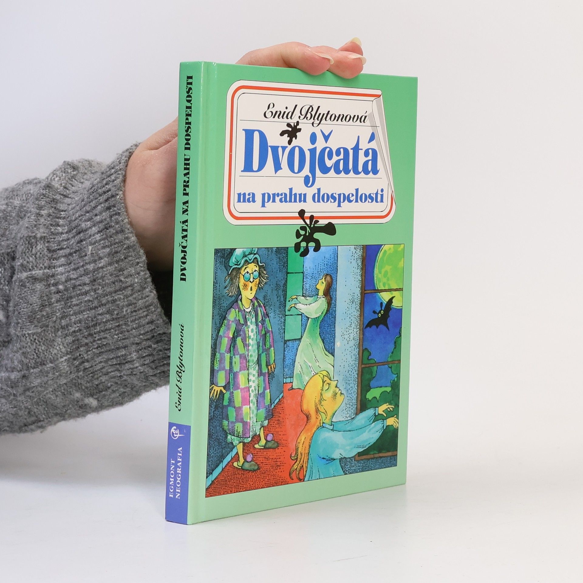 Enid Blyton Dvojčatá na prahu dospelosti
