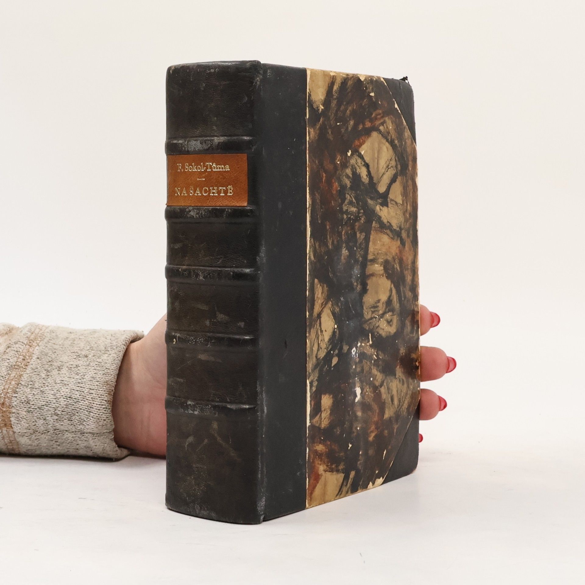 František Sokol Tůma Na šachtě I.