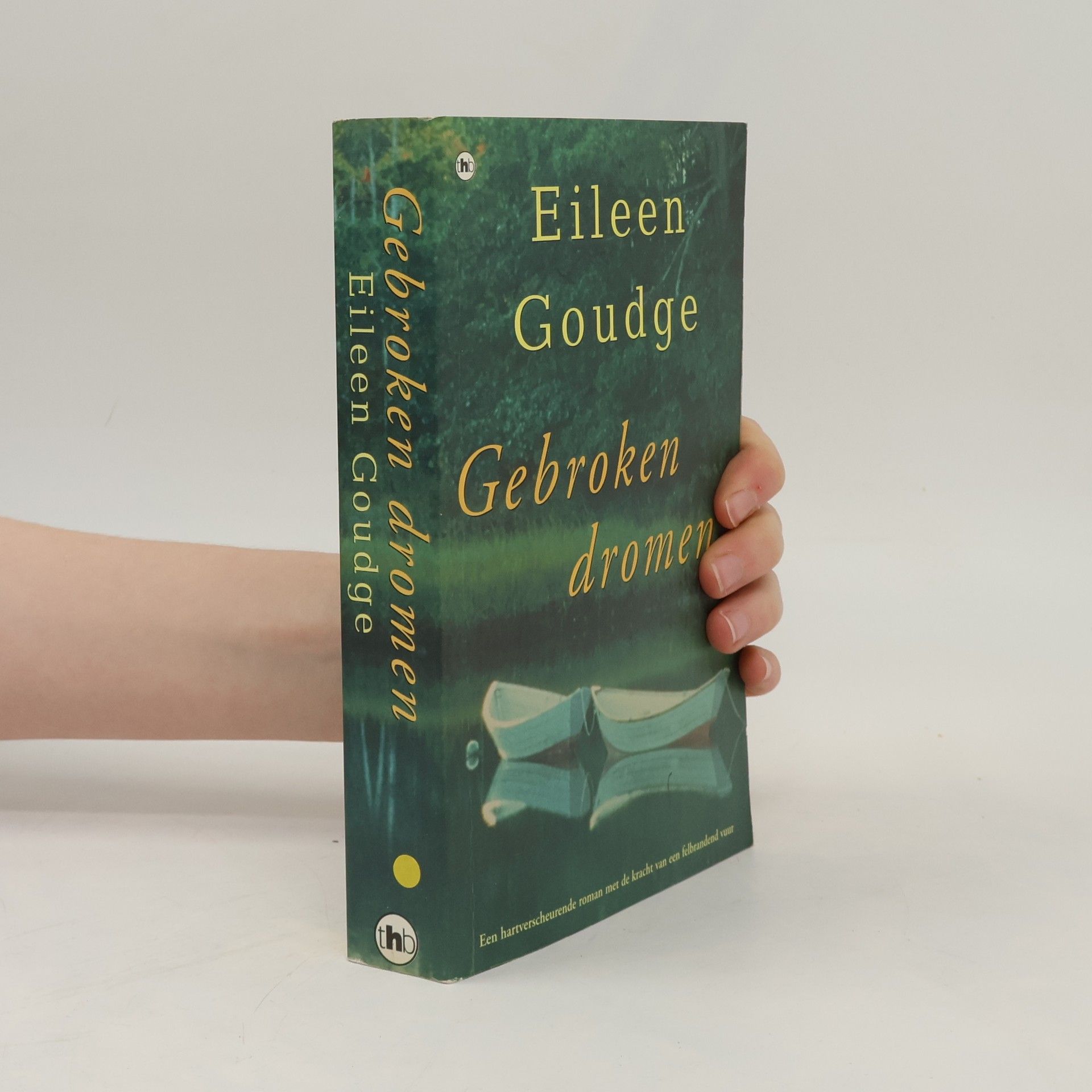 Eileen Goudge Gebroken dromen