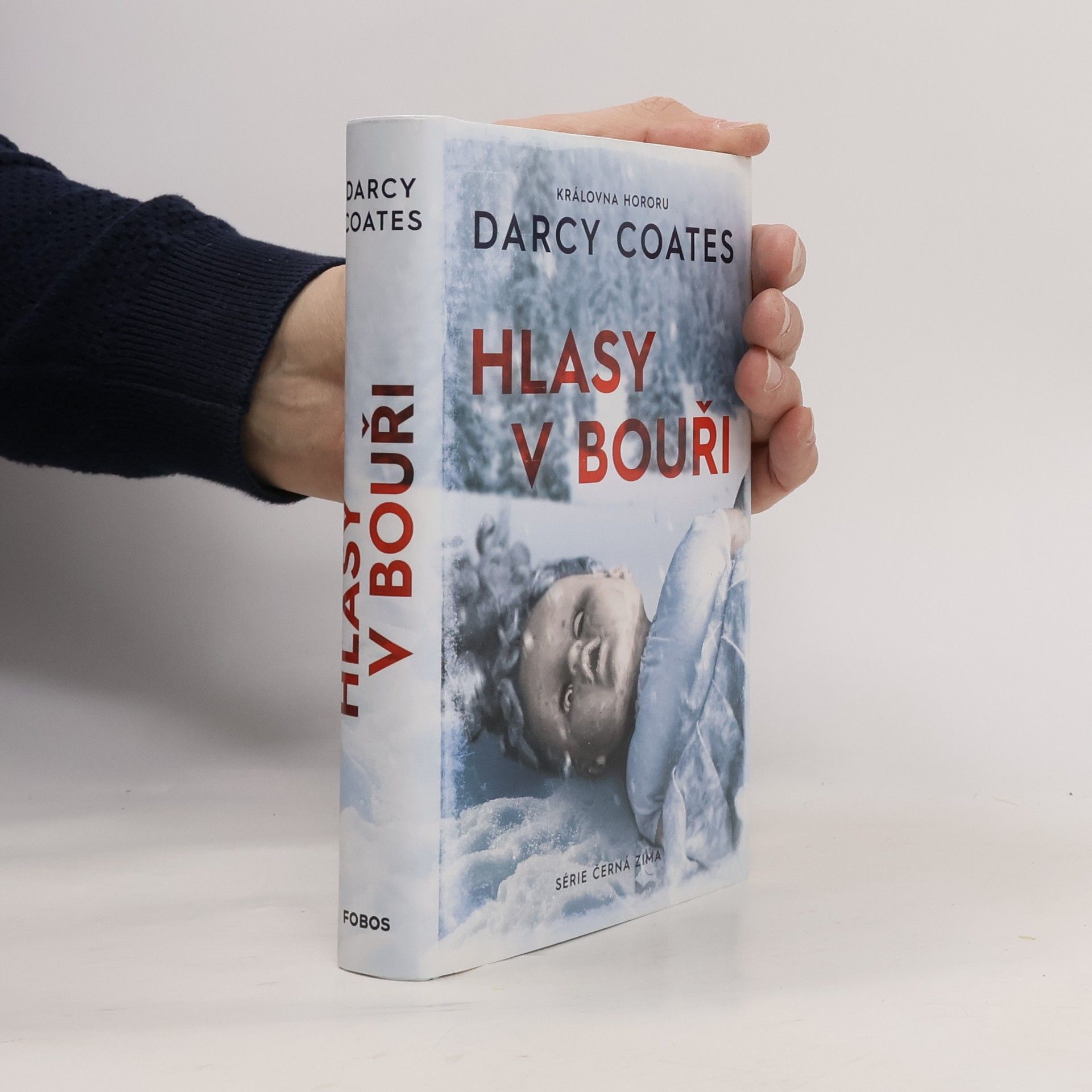 Darcy Coates Hlasy v bouři