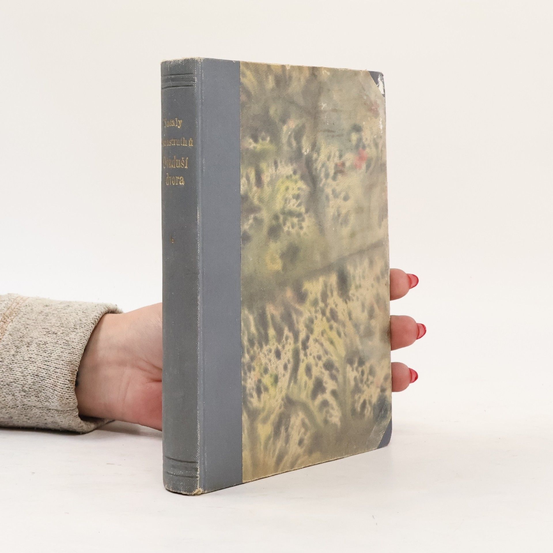 Nataly von Knobelsdorff-Brenckenhoff Ovzduší dvora