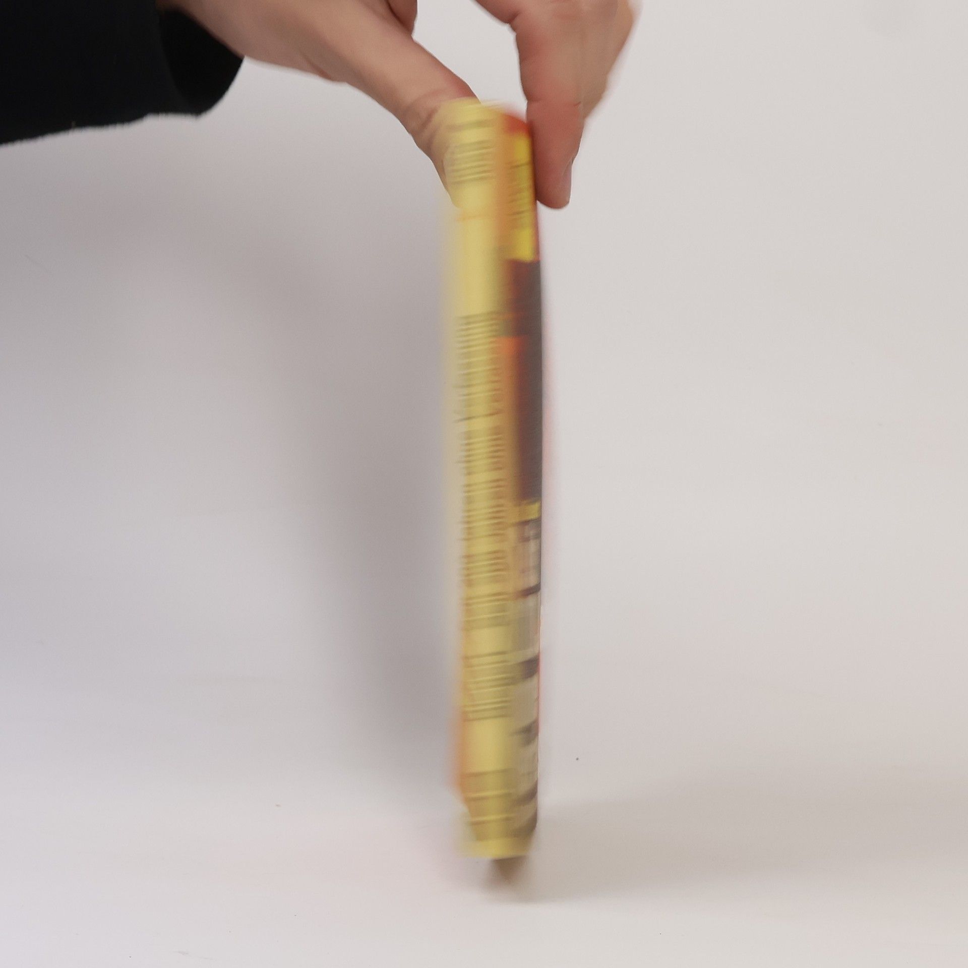 Claus Biegert Seit 200 [zweihundert] Jahren ohne Verfassung