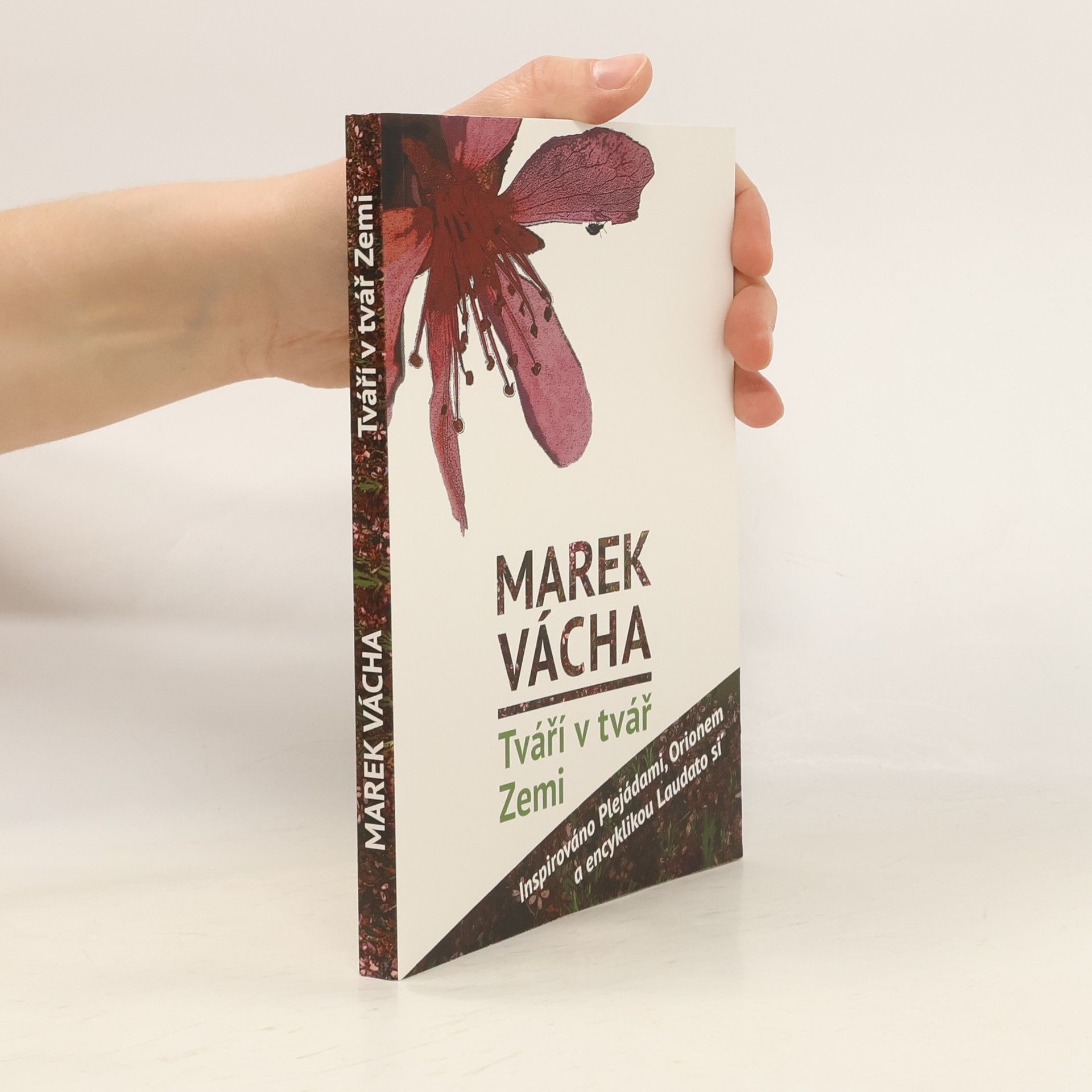 Marek Vácha Tváří v tvář Zemi