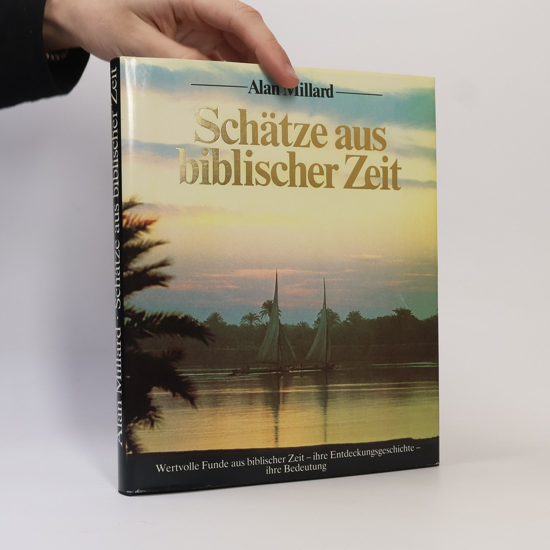 Alan R. Millard Schätze aus biblischer Zeit