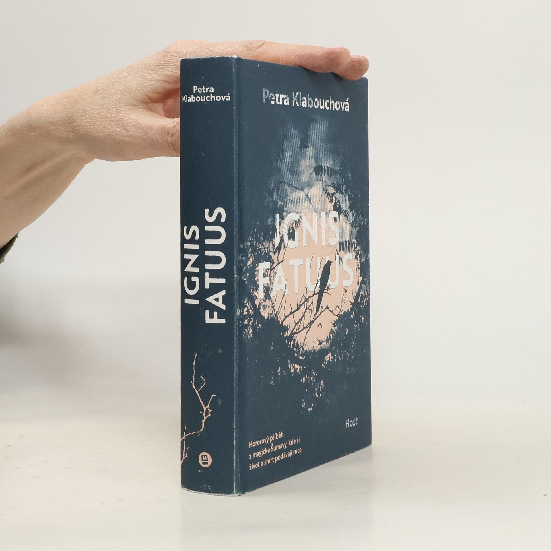 Petra Klabouchová Ignis Fatuus