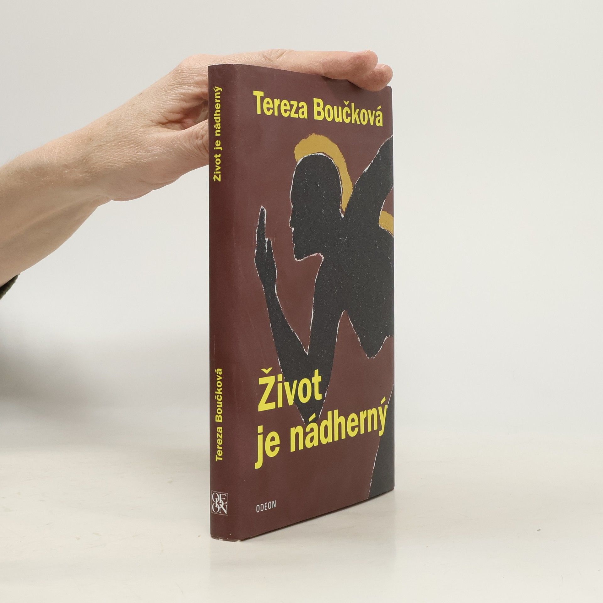 Tereza Boučková Život je nádherný