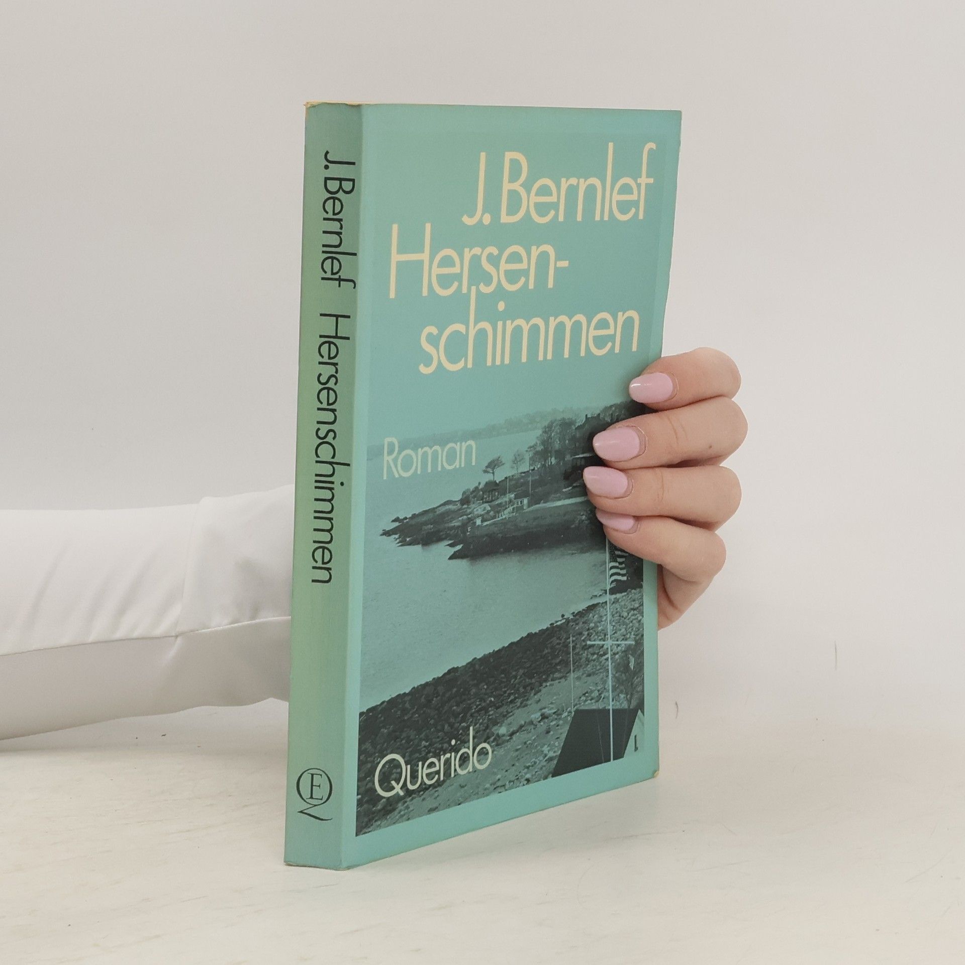 J. Bernlef Hersenschimmen