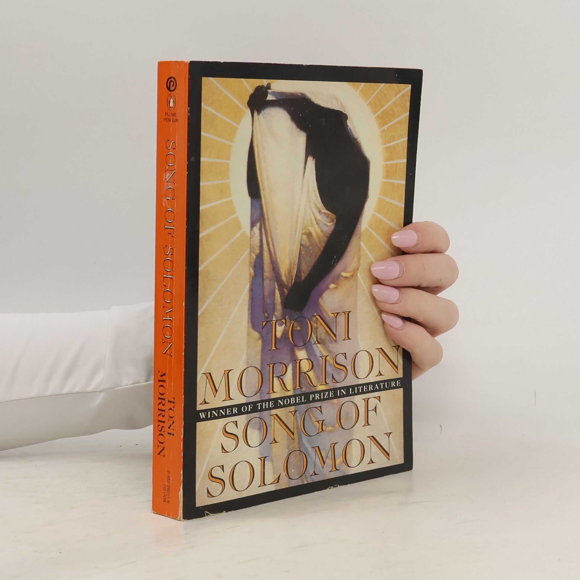 Toni Morrison Song of Solomon