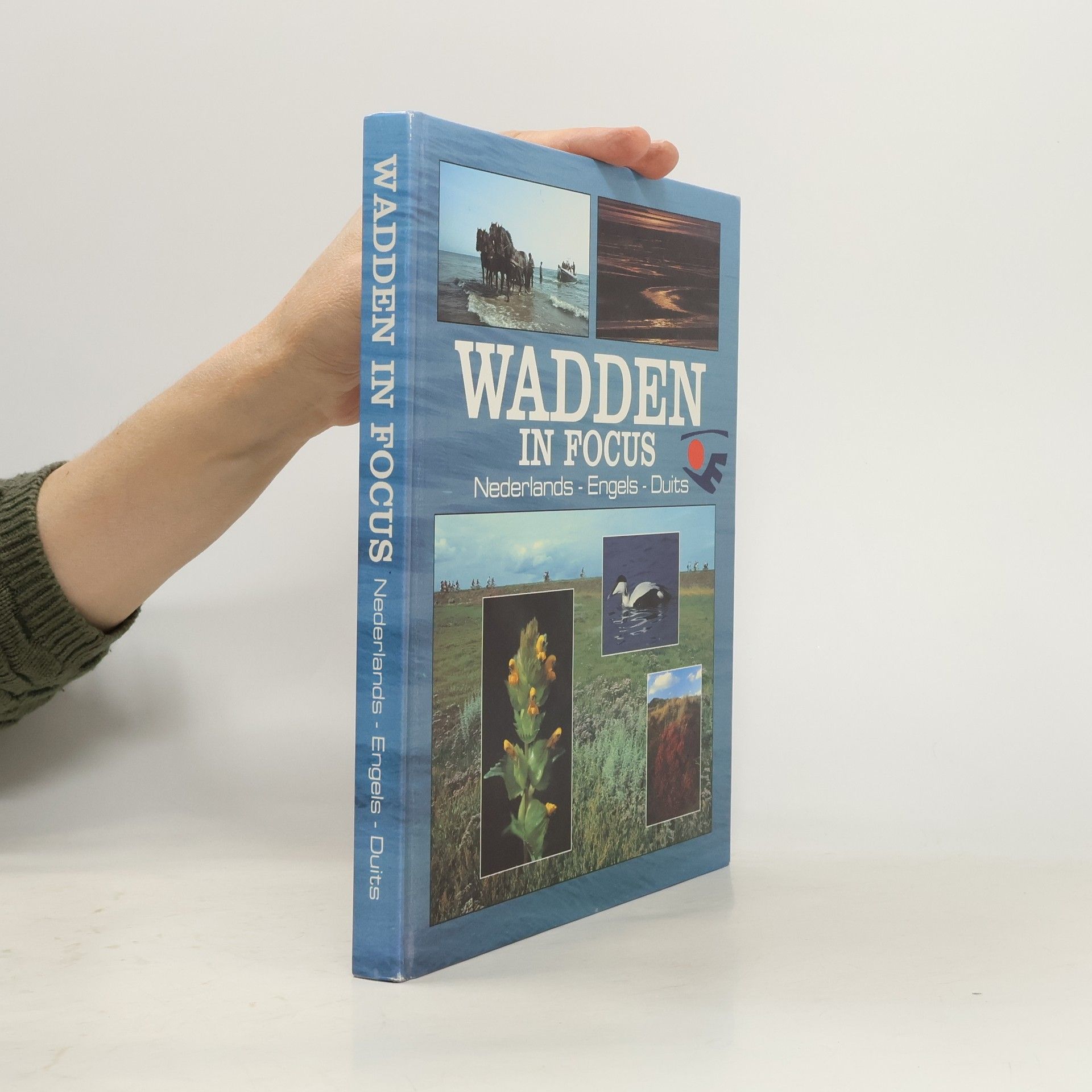 Wadden In Focus