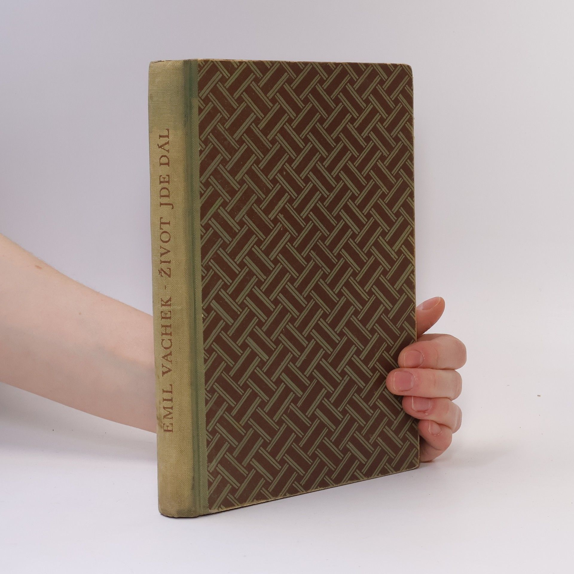 Emil Vachek Život jde dál