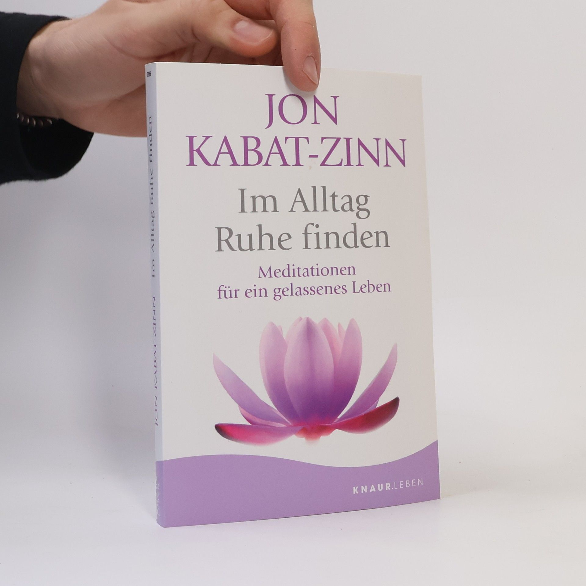 Jon Kabat Zinn Im Alltag Ruhe finden